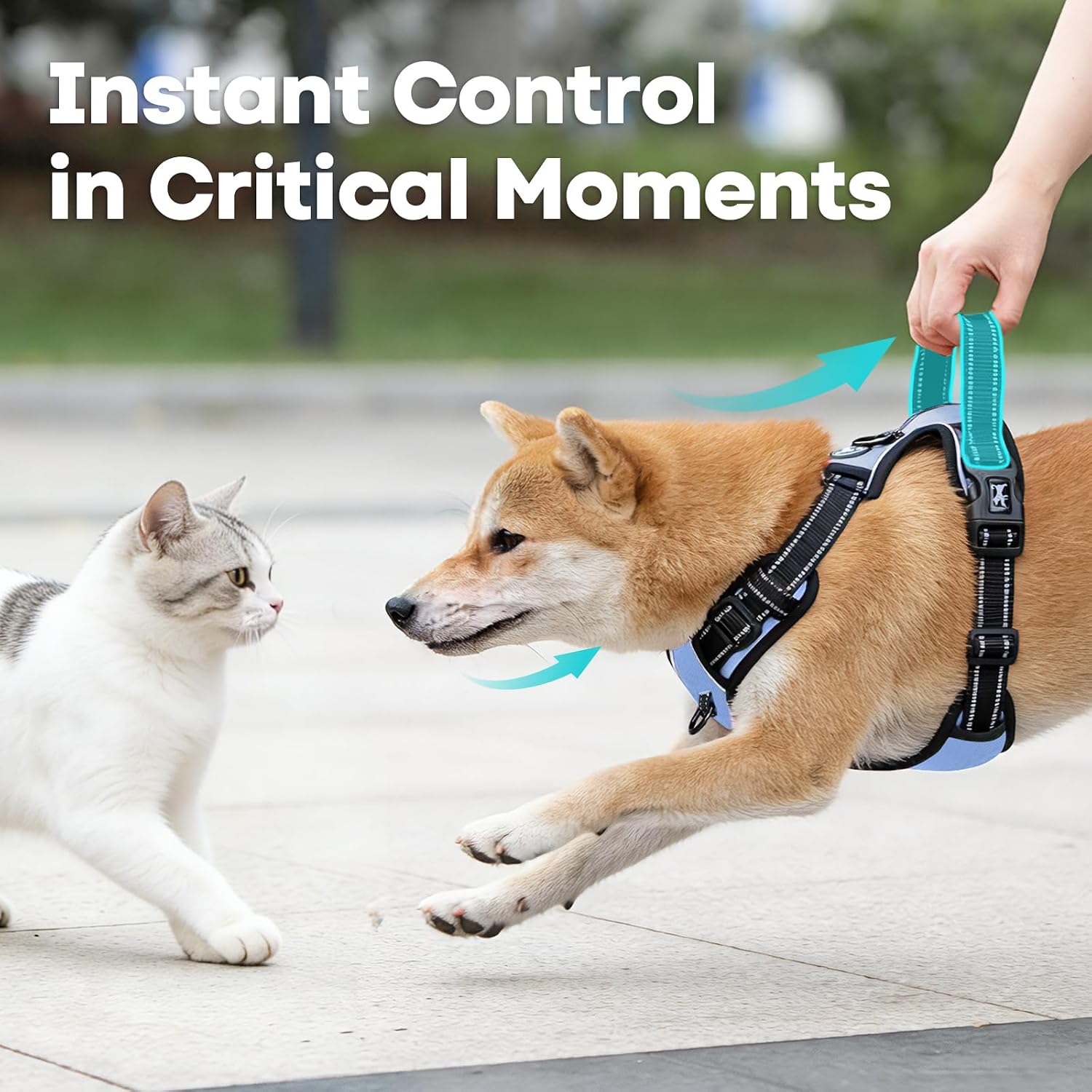 Detalle de No Pull Dog Harness with Reflective 2-Leash