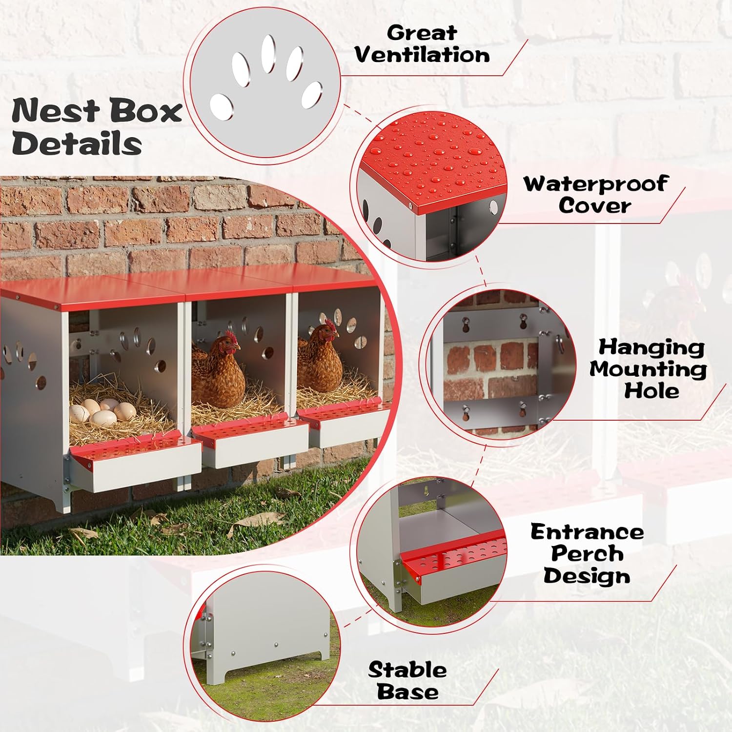 Detalle de Chicken Nesting Box in Galvanized Steel