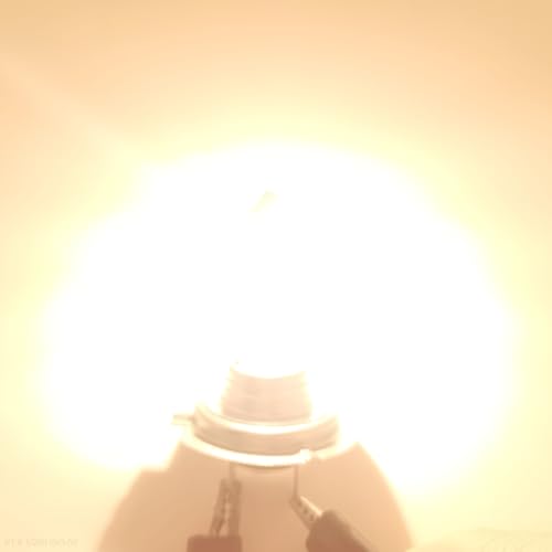 Detalle de SOFOC H7 Bulb 12V PX26D 64210 — Phare de Voiture Blanc Chaud 2000 Lumens, 100W (2 pièces)