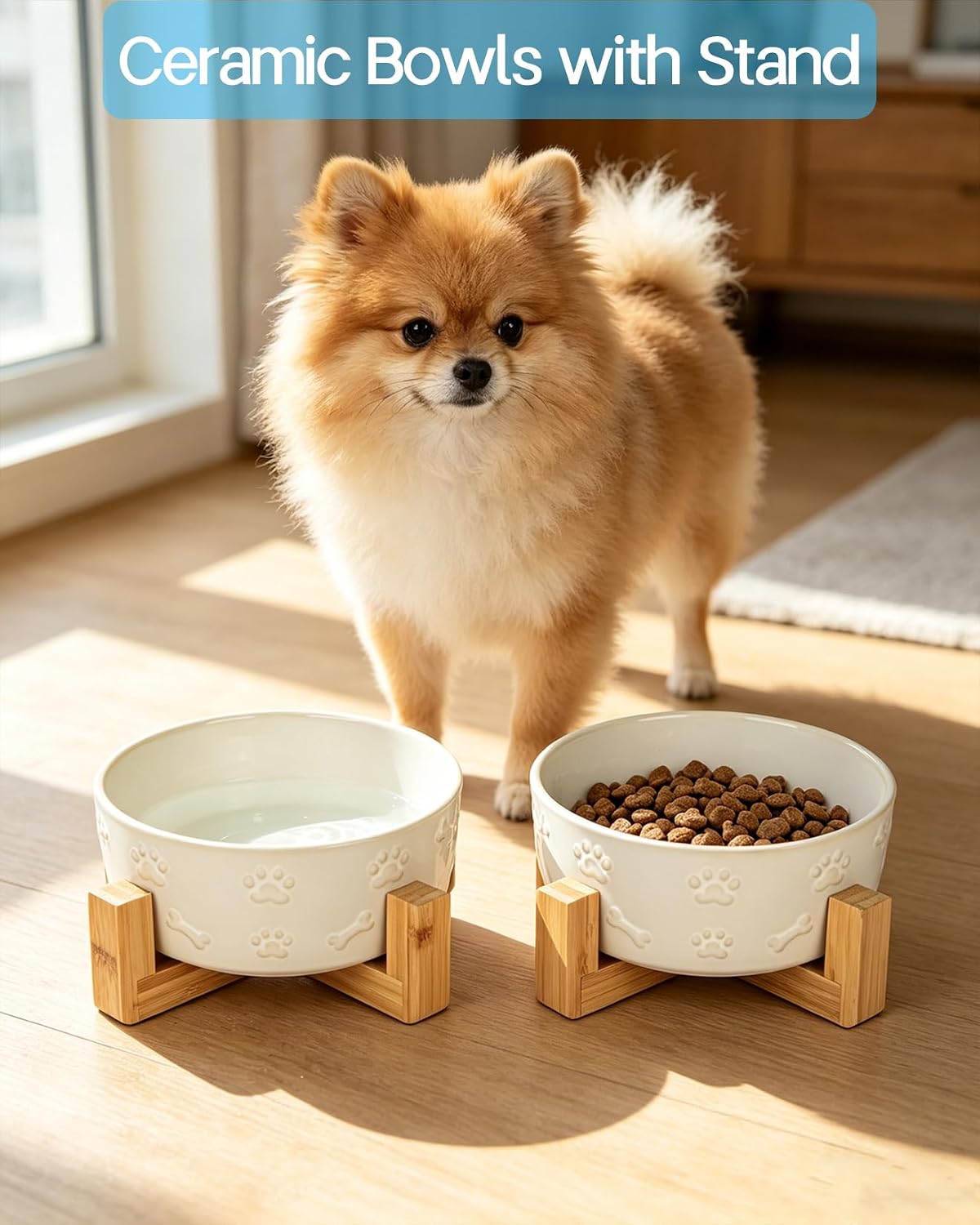Detalle 2 de Ceramic Dog Bowl Set 5.5-inch