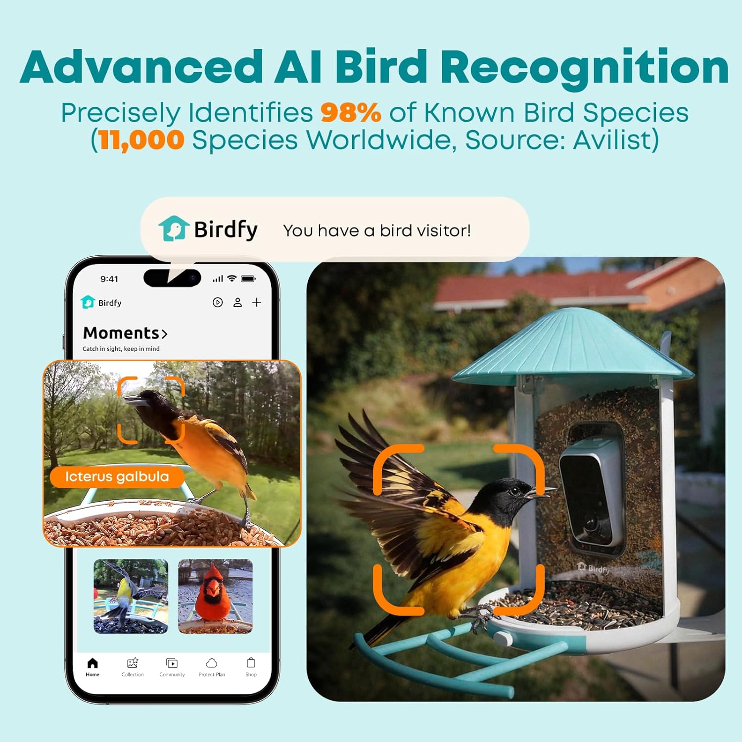 Detalle 2 de NETVUE Birdfy Smart Feeder Camera 1080P