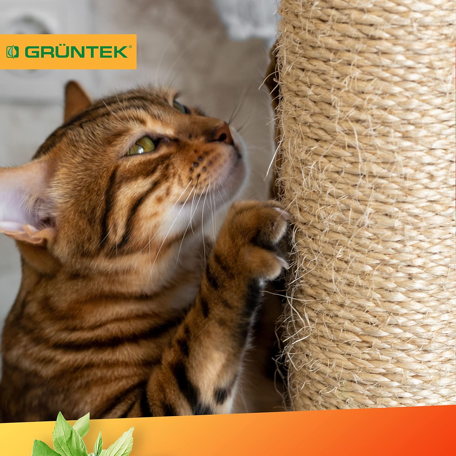 Detalle 2 de GRÜNTEK Corde Sisal Arbre à Chat 6mm Rechange Ficelle Sisal – rouleau 60 m