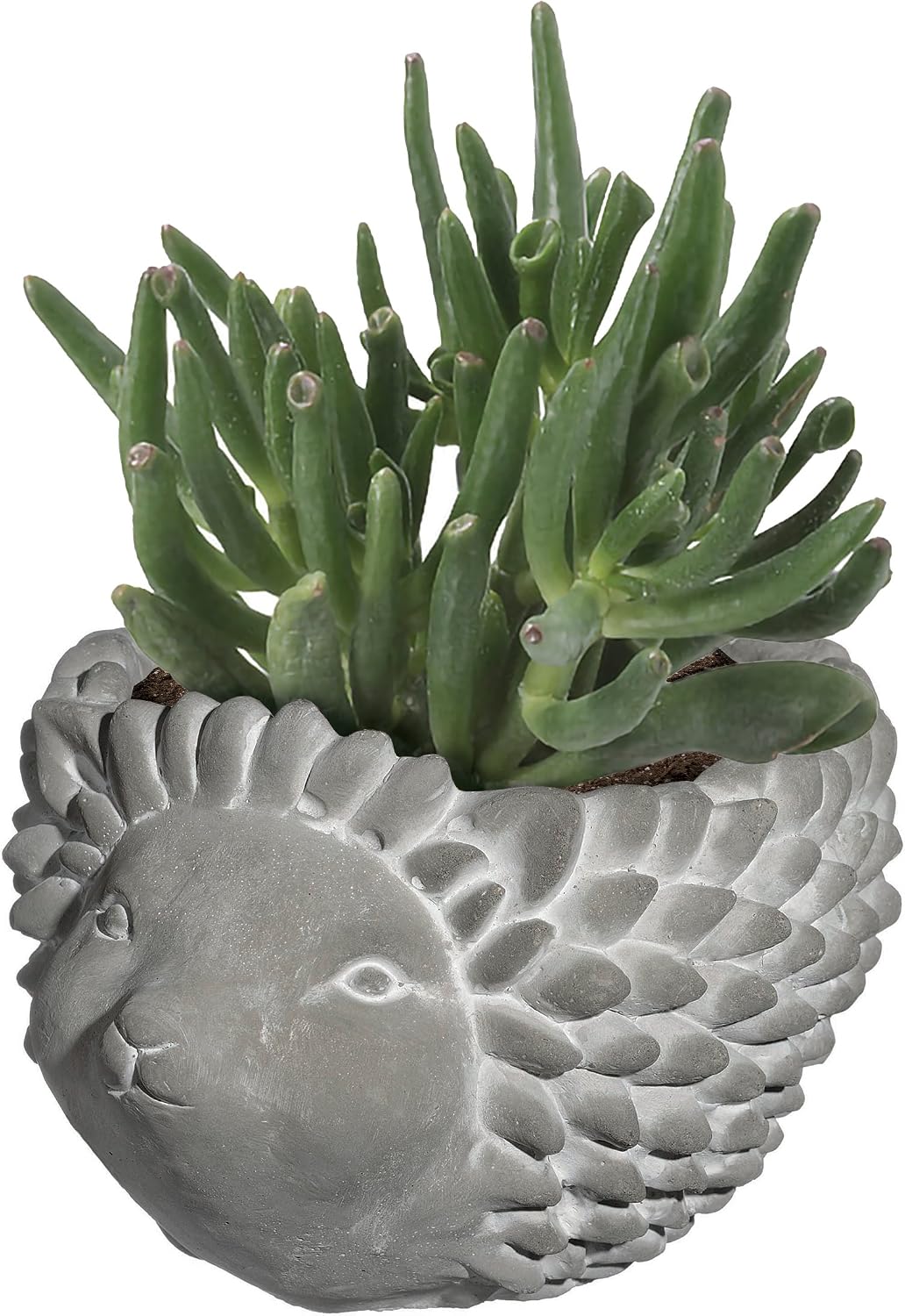 Detalle de Growscape Animal Planter Small