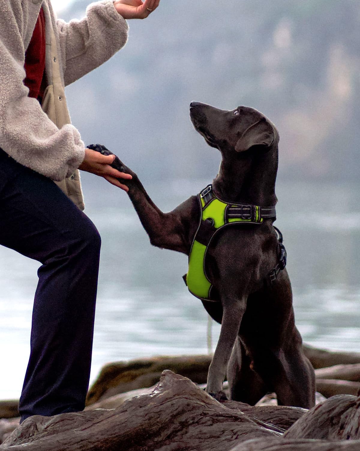 Thumbnail 6 de Joytale reflektierendes Anti-Zug Hundegeschirr mittelgroße Hunde, verstellbar mit Führgriff (Grün, S)