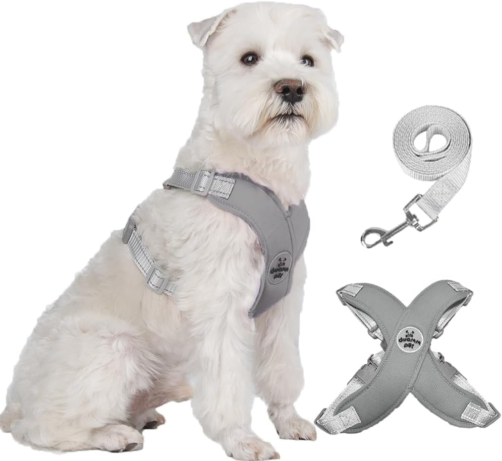 FEimaX No Pull Dog Harness and Lead Set for Small to Medium Dogs