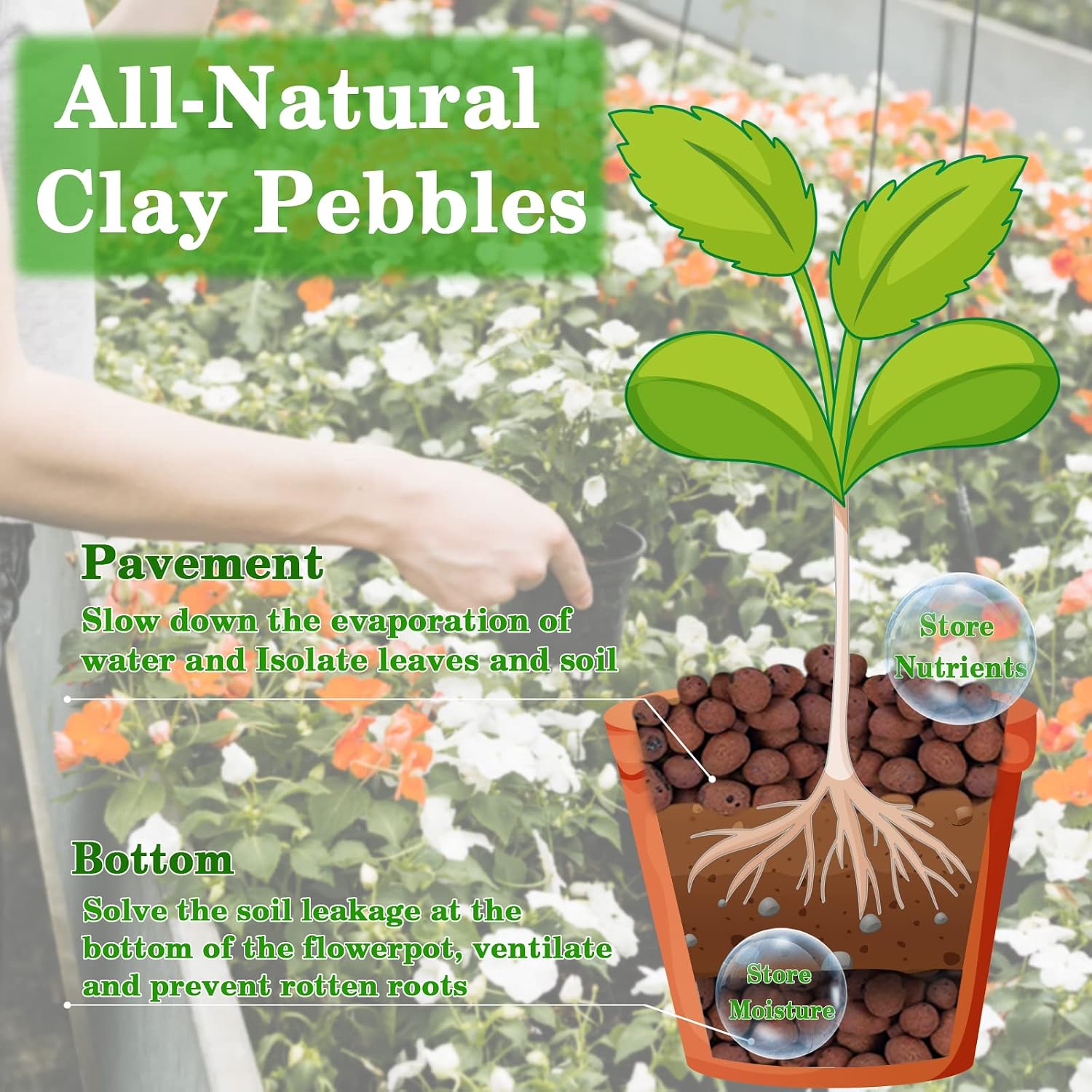 Detalle de Legigo L-CA-Clay Ball LECA Clay Pebbles, 4mm–16mm Natural Hydroponic Medium