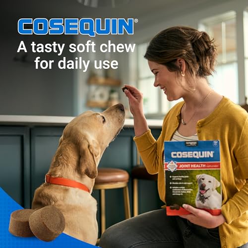 Thumbnail 4 de Nutramax Cosequin Joint Supplement for Dogs — Soft Chews, 120 Count