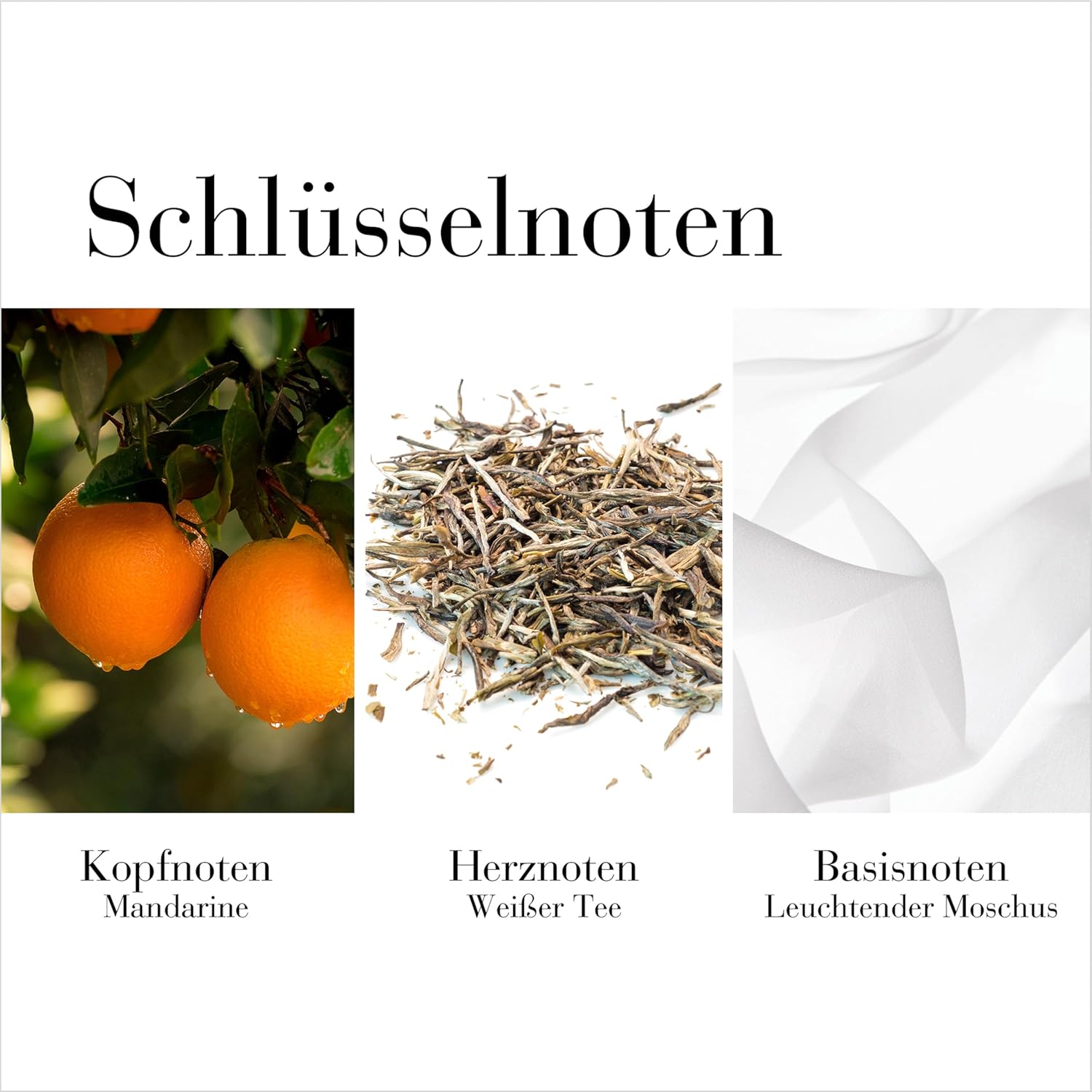 Thumbnail 1 de Elizabeth Arden White Tea Mandarin Blossom Körpercreme mit Mandarine & weißem Tee (400 ml)