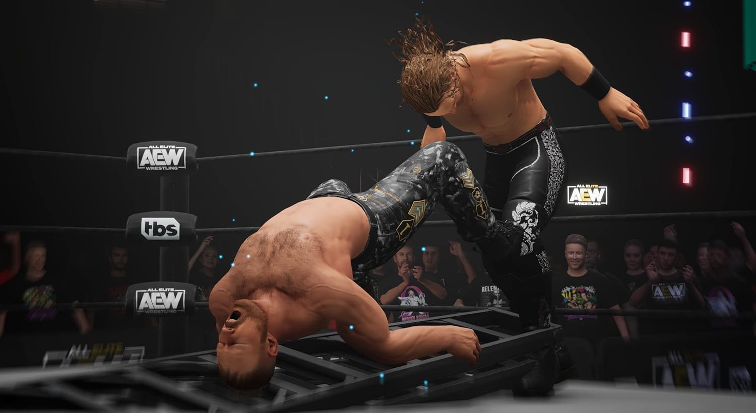 Detalle de THQ Nordic AEW: Fight Forever for Nintendo Switch