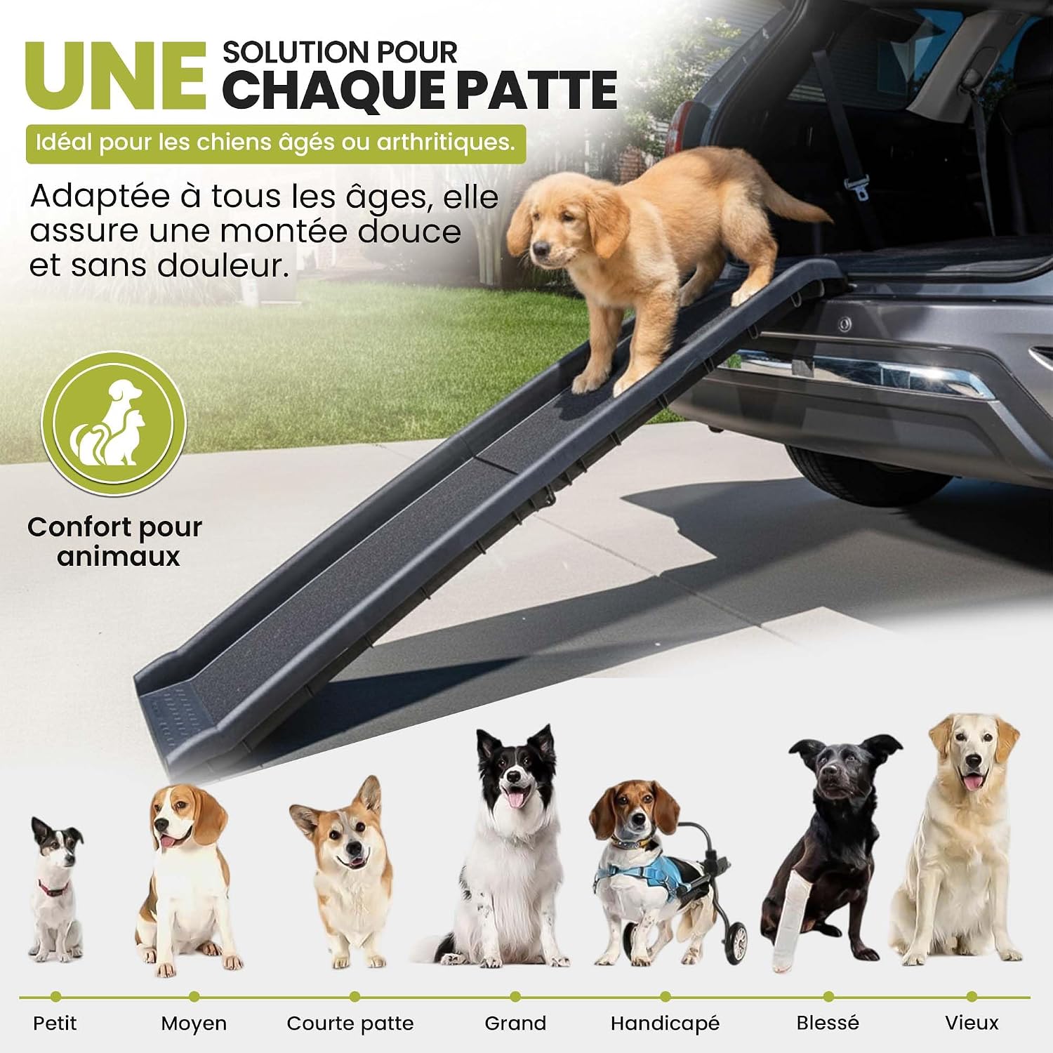 Detalle de all Pets United Rampe pour Chien Pliable – Accès Coffre Voiture