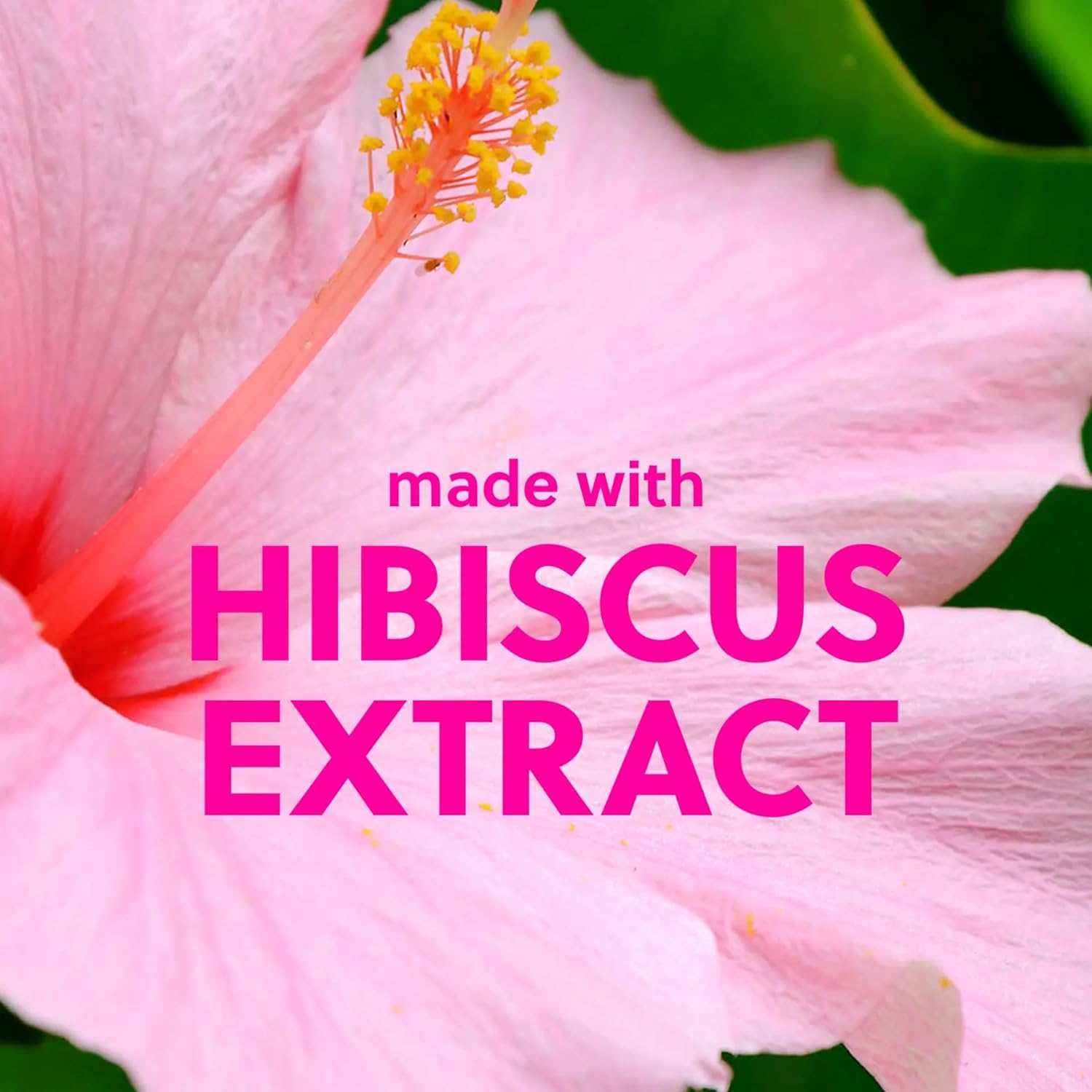 Thumbnail 5 de Tree Hut Pink Hibiscus Shea Sugar Scrub (532 ml) – Zuckerpeeling für sanfte, hydratisierte Haut