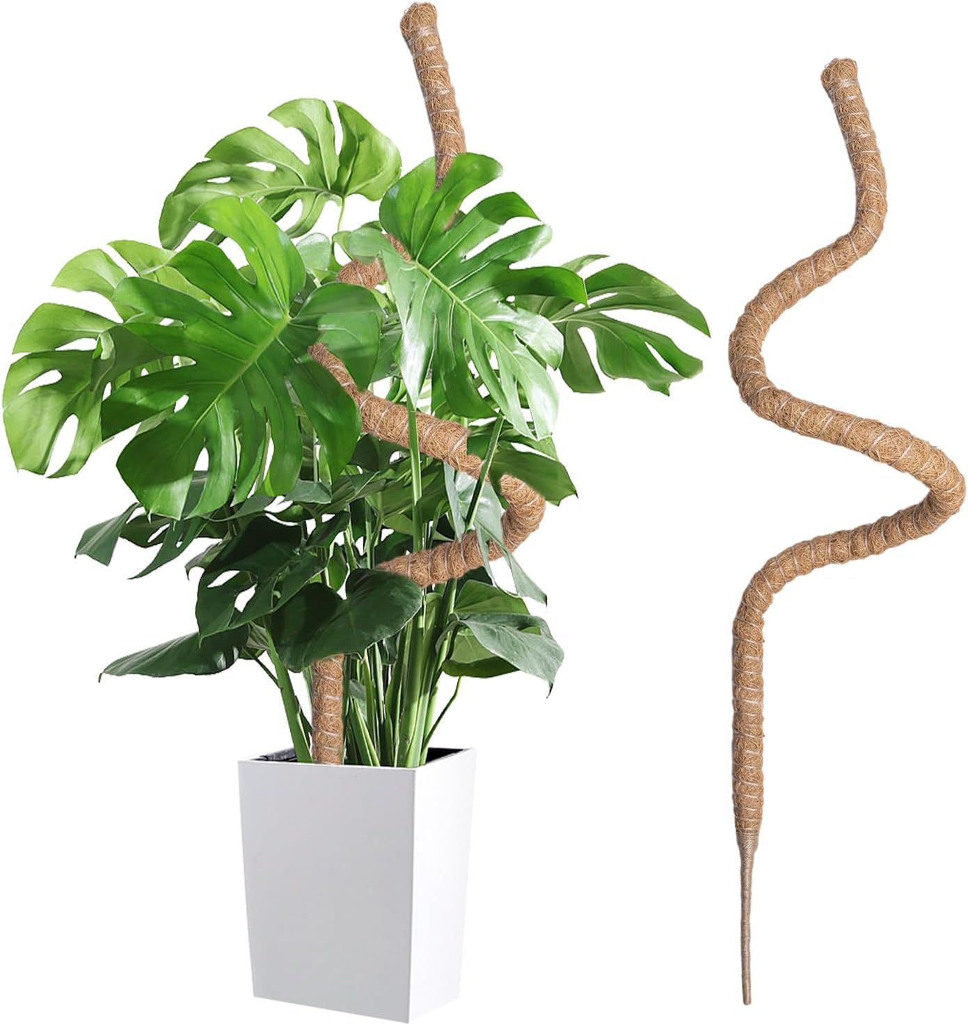 Wigearss bastone di muschio/palo di fibra di cocco da 120 cm per piante rampicanti