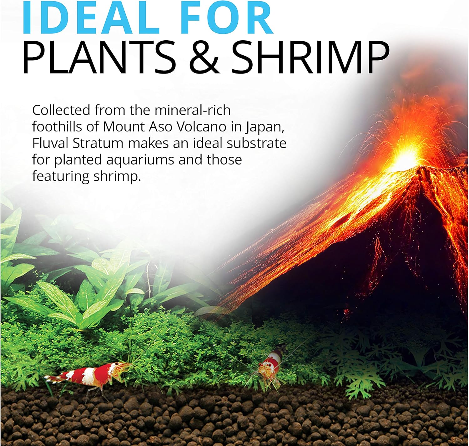 Detalle de Fluval Substrat Plant & Shrimp Stratum - 4 kg