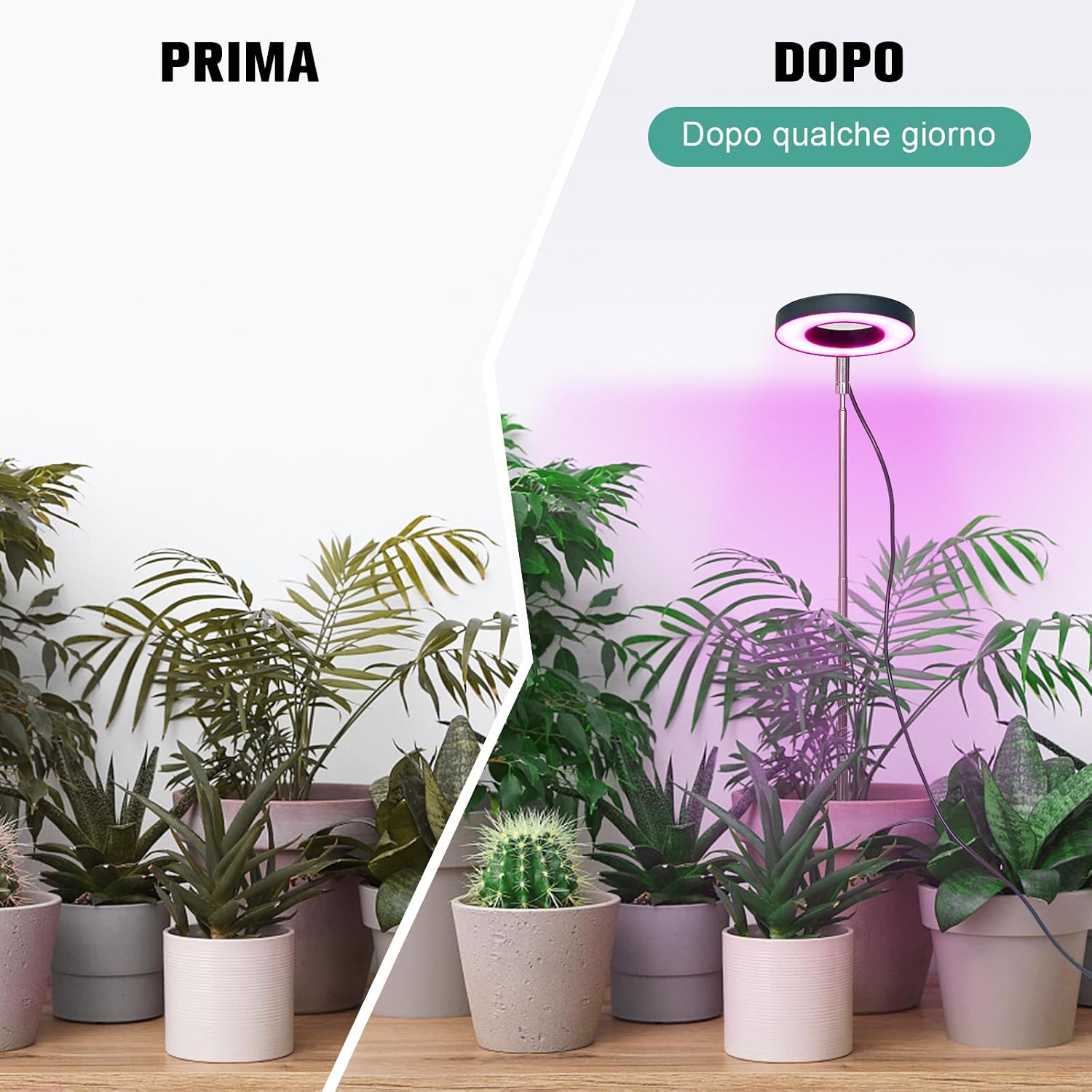 Thumbnail 5 de Lampada per Piante 42 LEDs a spettro completo 🌱