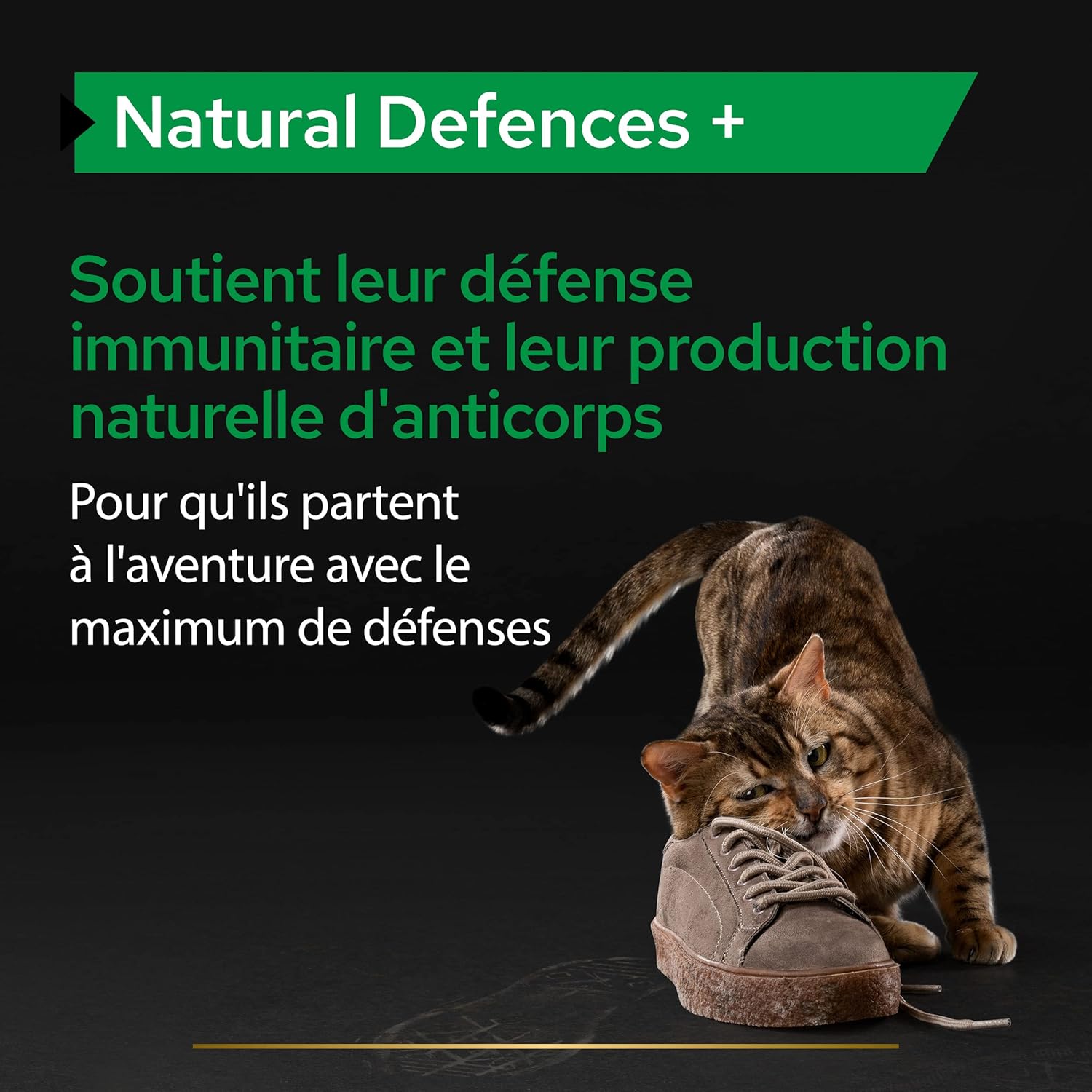 Detalle de PURINA PRO PLAN Natural Defences+ Chat — Poudre pour chat adulte, soutien immunitaire, boîte 60g