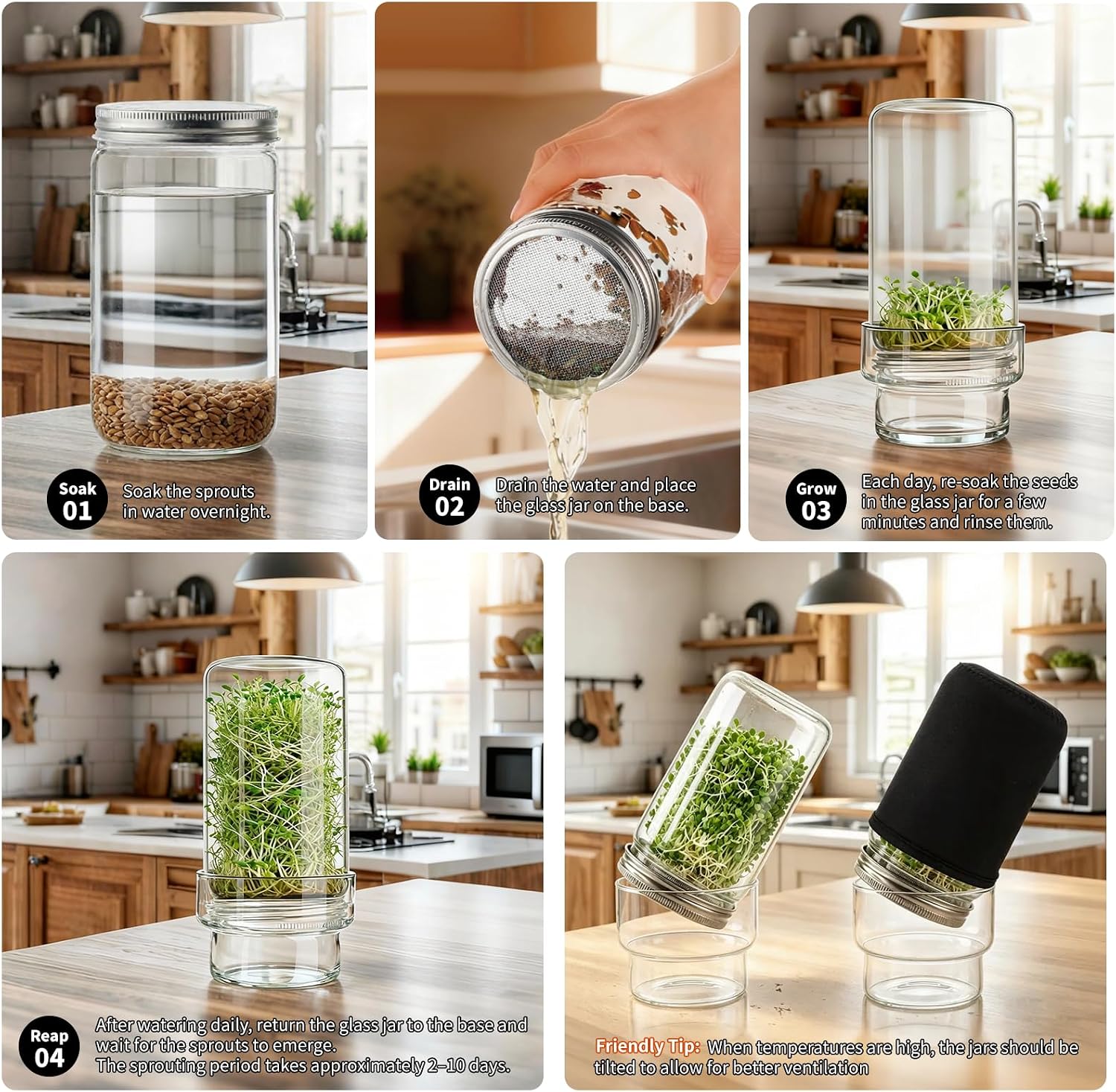 Detalle de Elitrivox Sprouting Jar Kit, 2-Pack