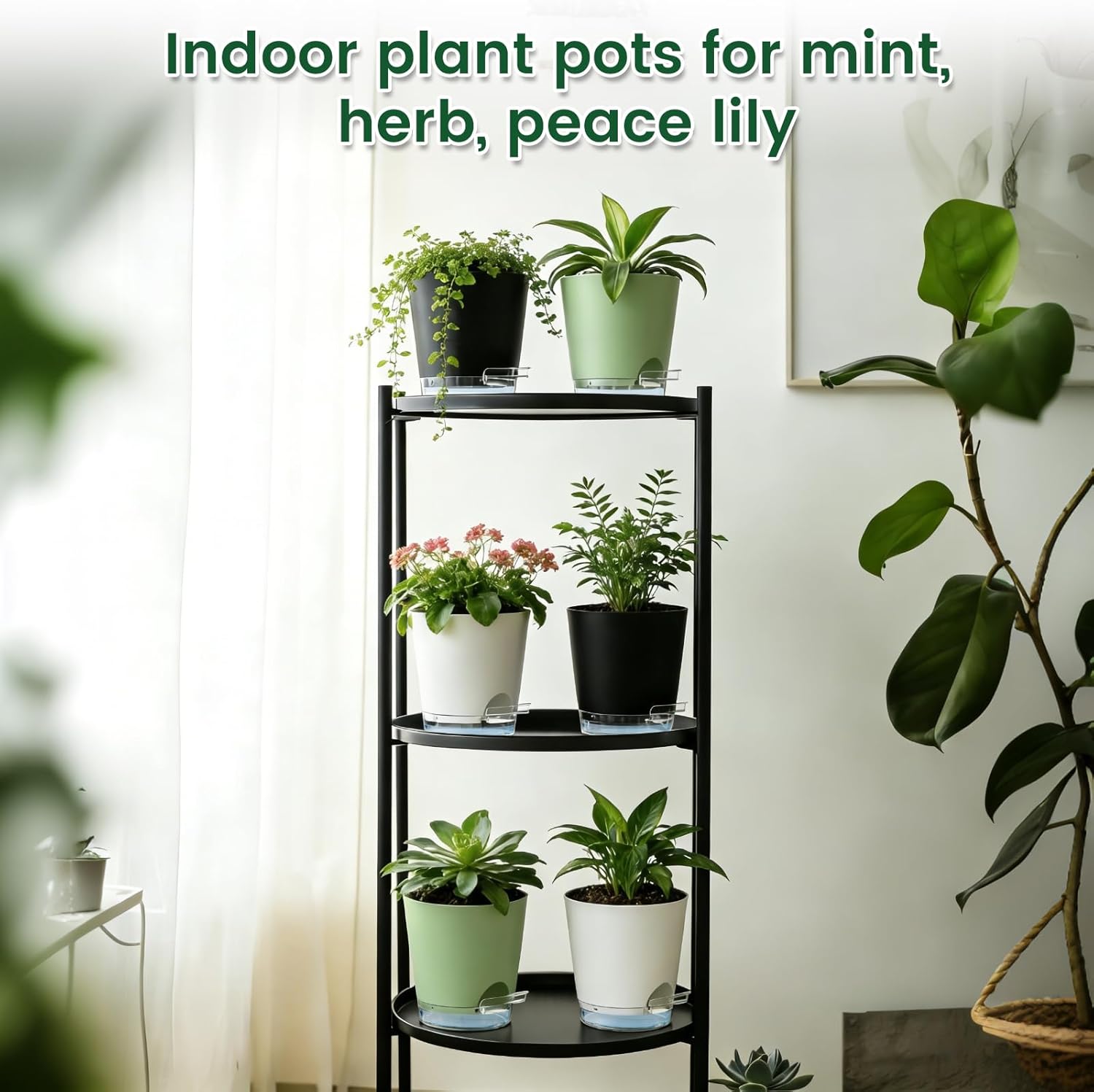 Thumbnail 6 de WSMKSZ 15 cm Self-Watering Pots for Indoor Plants (5 Pack) – Clear Reservoir, Visible Water Level & Drainage Holes