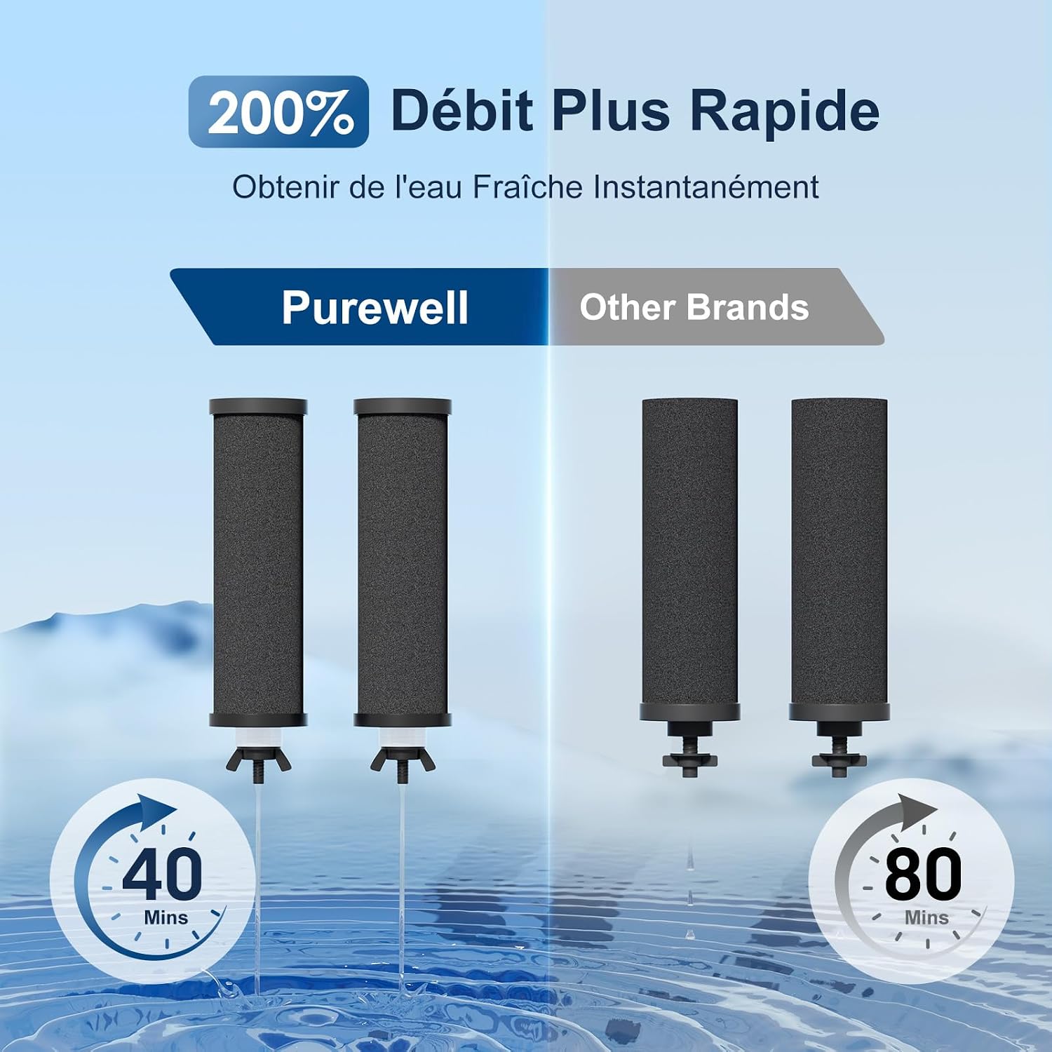 Detalle 2 de Purewell PB Filtres de rechange 3 000 gal
