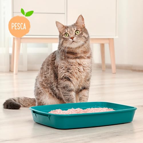 Thumbnail 7 de Cat&Rina BeNatural: lettiera per gatti al tofu da 10 L, agglomerante e vegetale