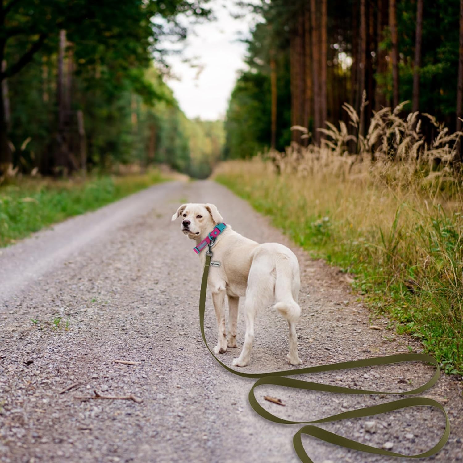 Detalle de Wolfone Army Green 15m Long Line Lead for Outdoor Recall Training