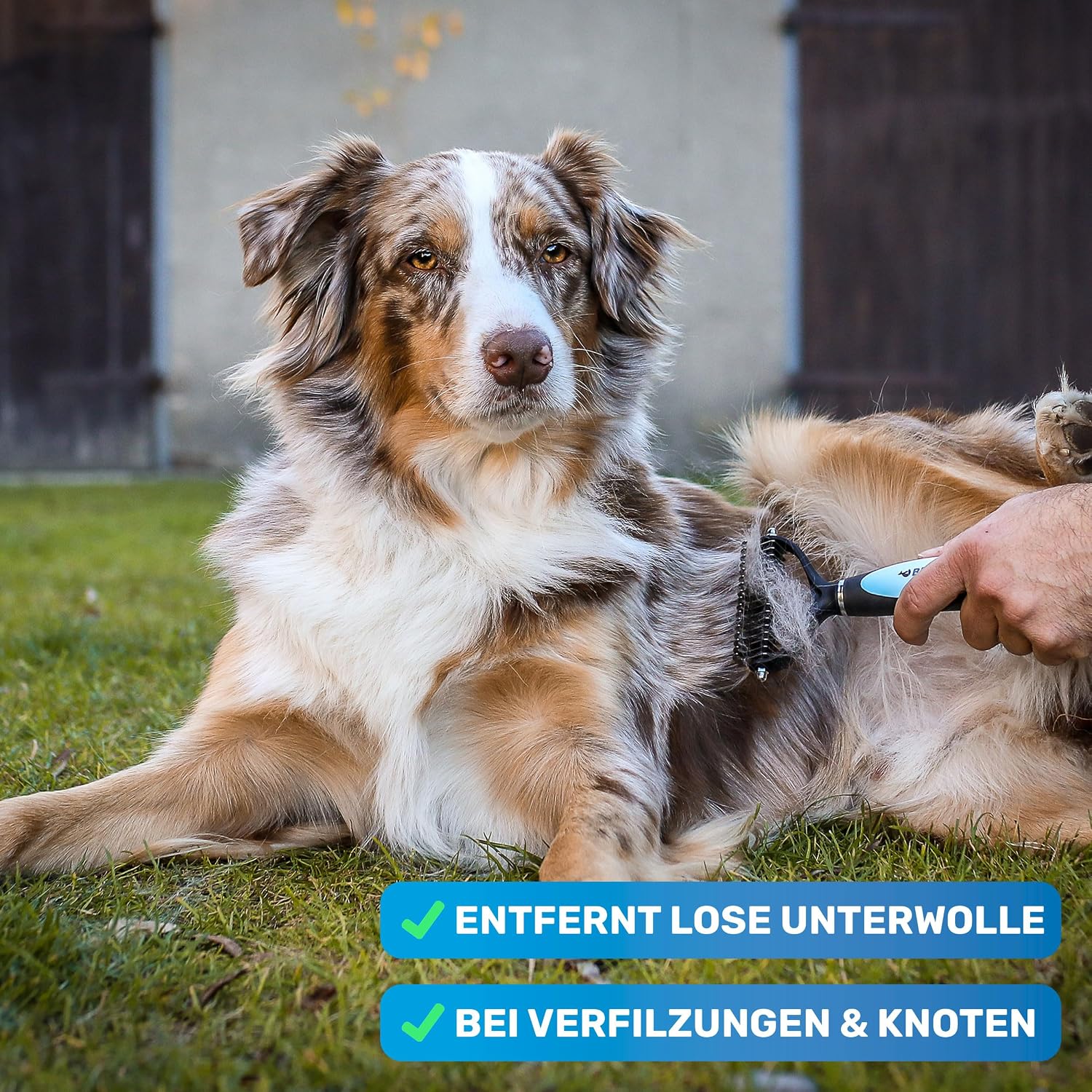 Detalle de BluePet Unterwollbürste langhaar
