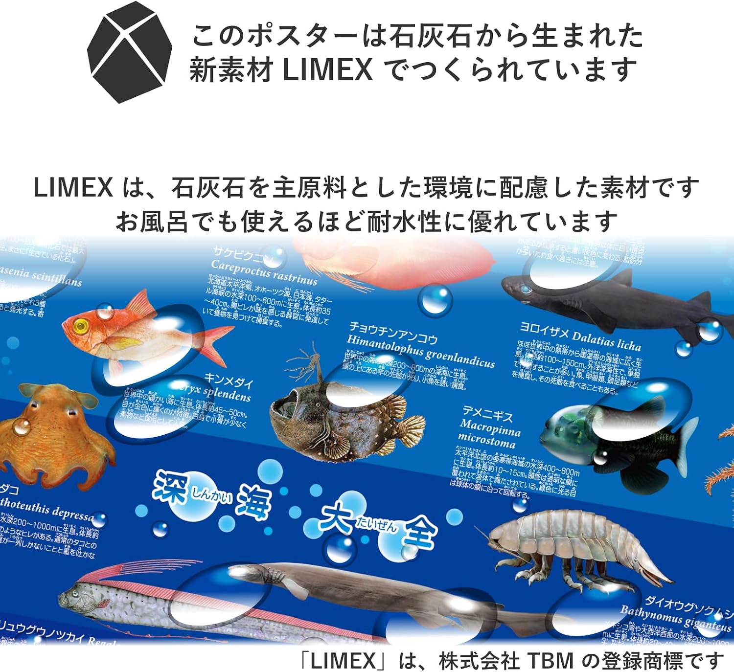 Detalle de ザ・アクセス 深海大全ポスター A1耐水仕様、深海生物53種の図鑑風イラスト