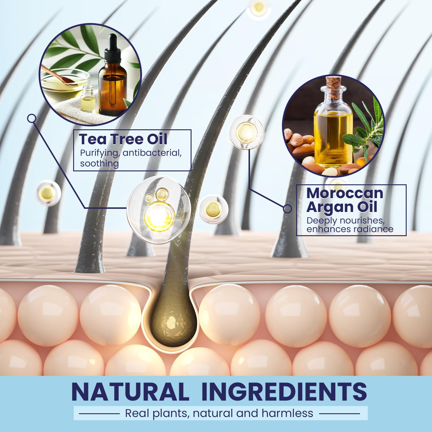 Thumbnail 5 de PHARMBANNER Anti-Fungal Shampoo and Conditioner Set with Tea Tree & Argan Oil for Scalp Relief