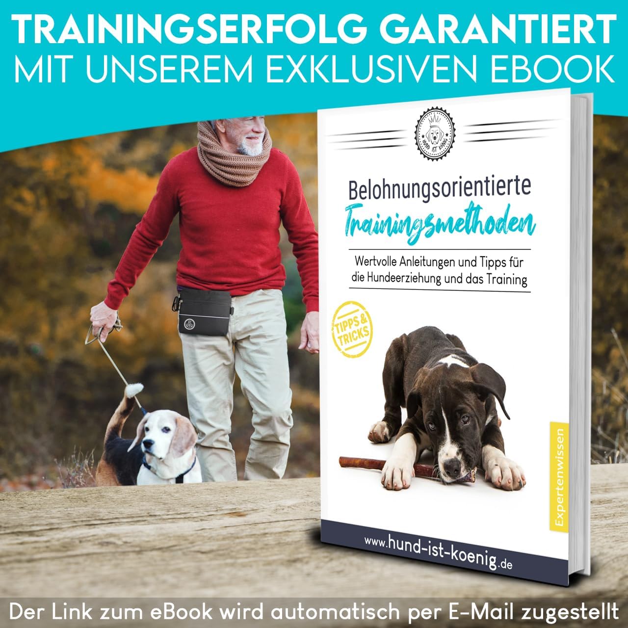 Thumbnail 6 de HUND IST KÖNIG Leckerlietasche