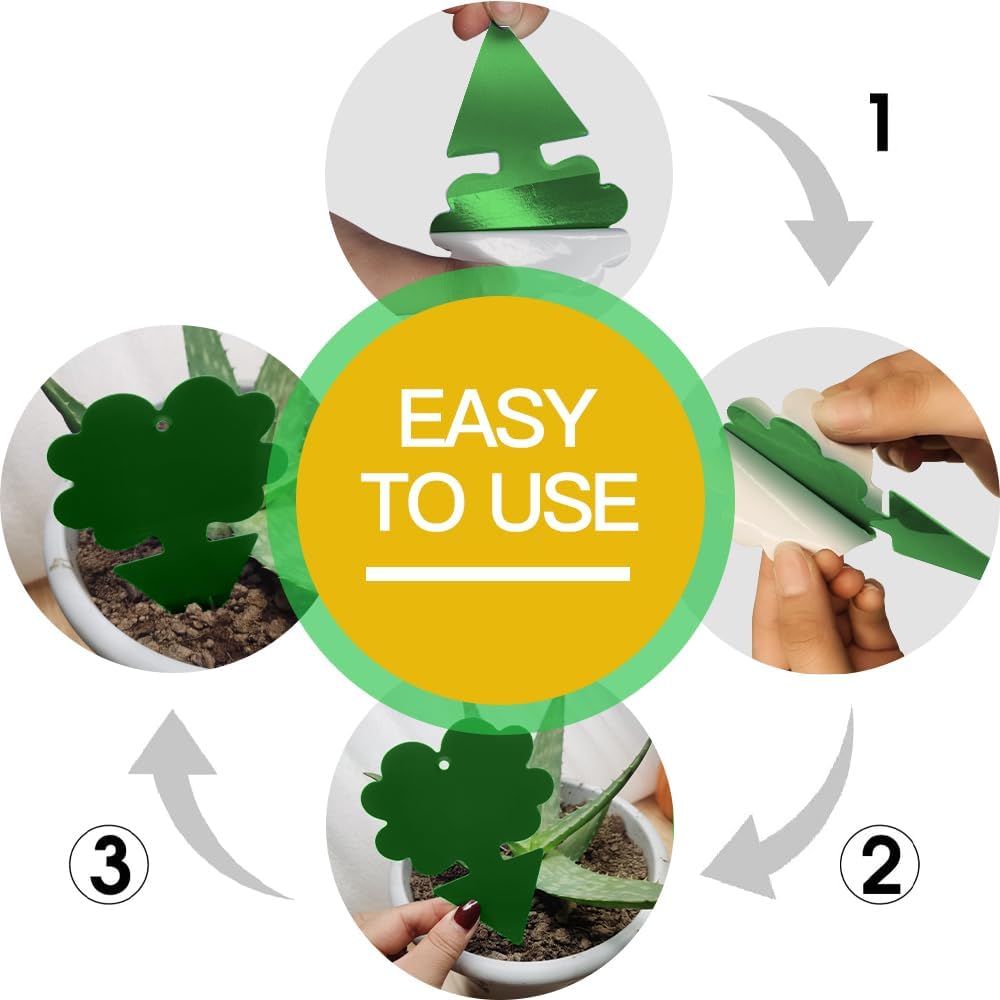 Detalle 2 de Cleanuper 58 green Gnat Sticky Traps, 58-Pack, Green Double-Sided Cards