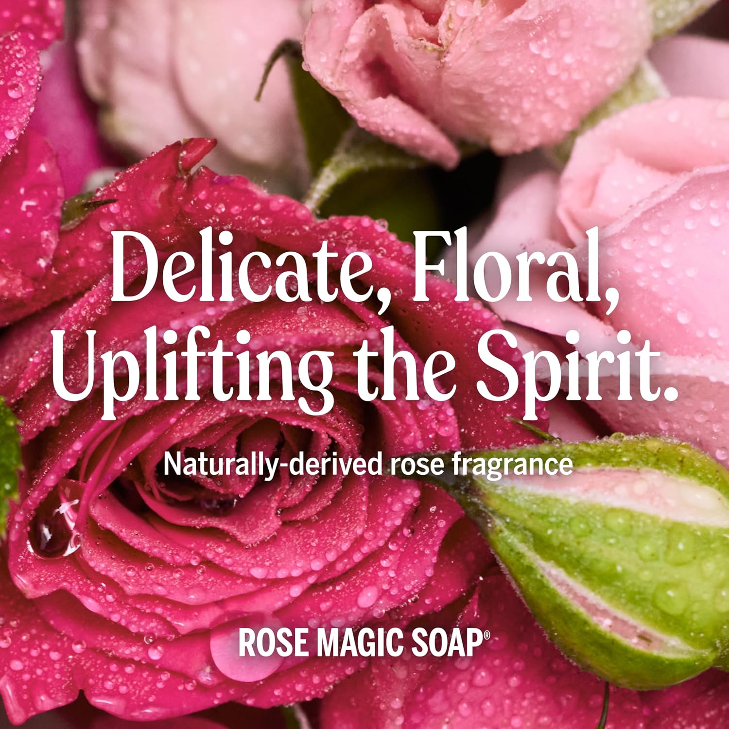 Thumbnail 5 de Dr. Bronner's Pure-Castile Magic Soap, Rose, 32 oz + Refill