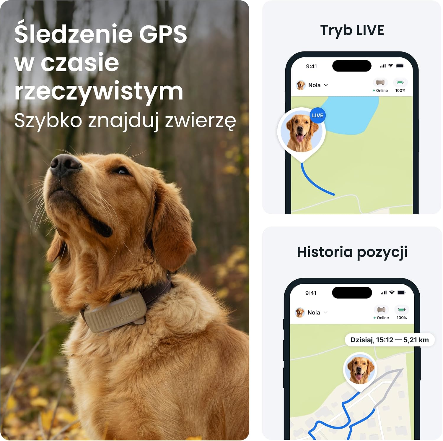 Detalle 2 de Tractive DOG XL 2026 Edition – lokalizator GPS dla psa, alerty i monitoring zdrowia