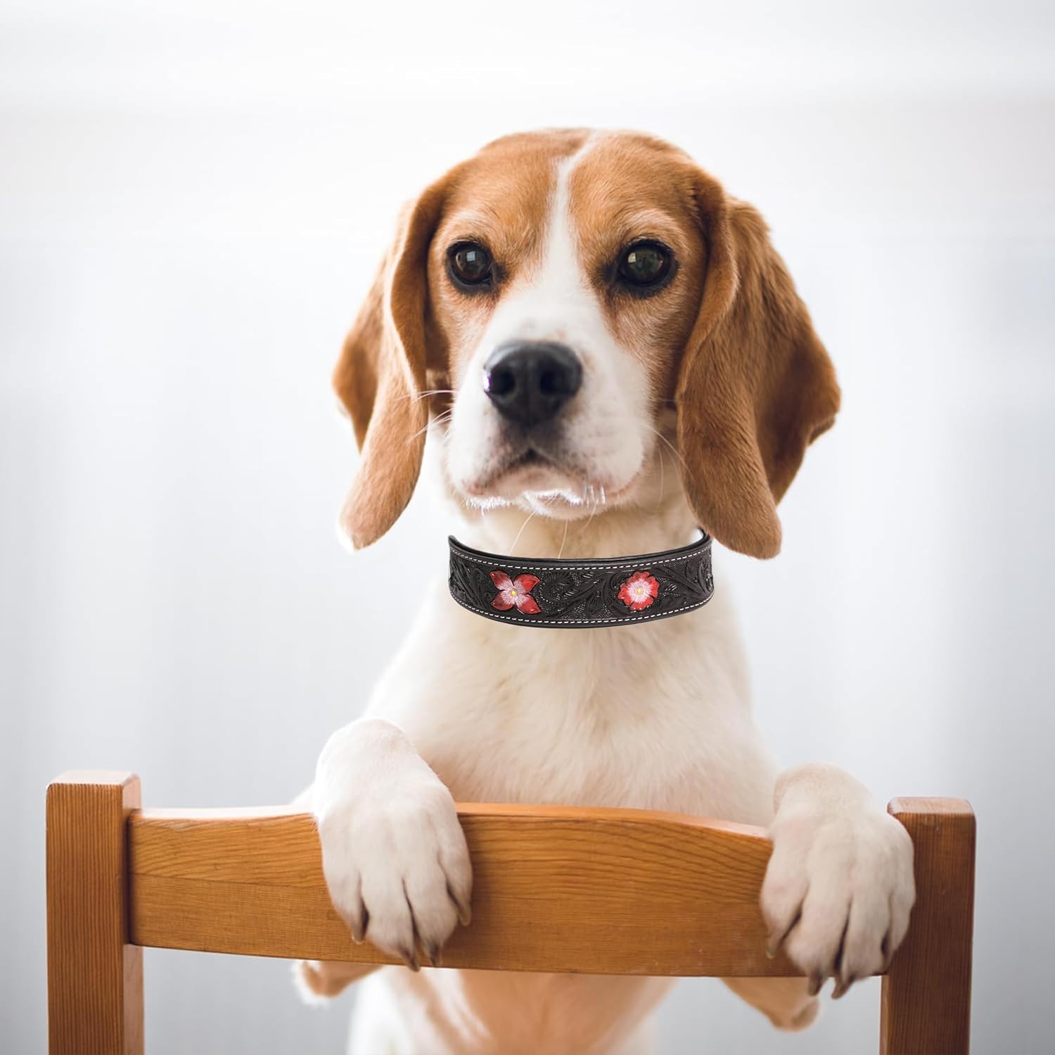 Detalle de TARICO Dog Collar Small