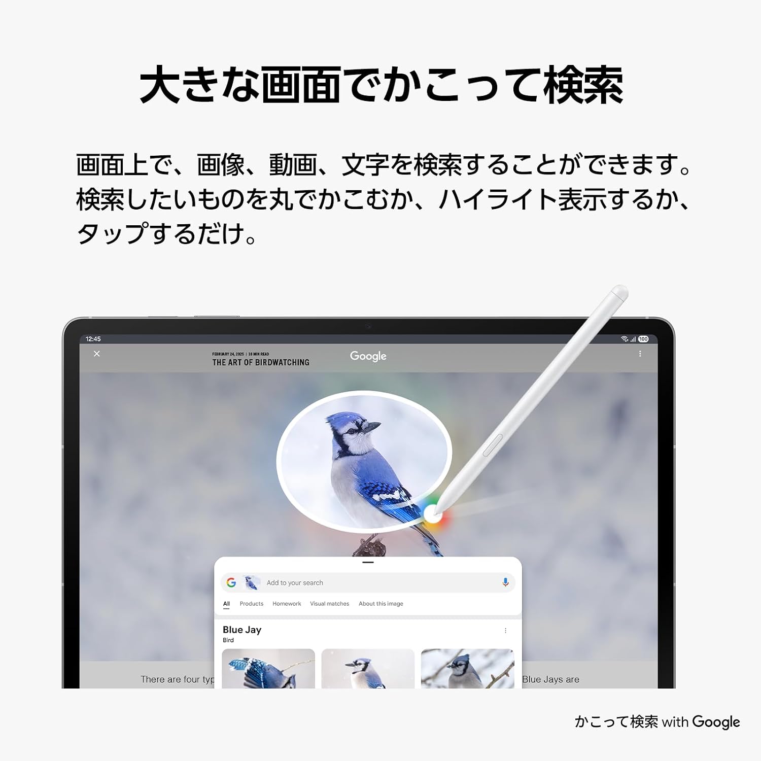 Detalle 2 de Samsung Galaxy Tab S10 FE SM-X520NZAAXJP タブレット 10.9インチ・Sペン付き・128GB