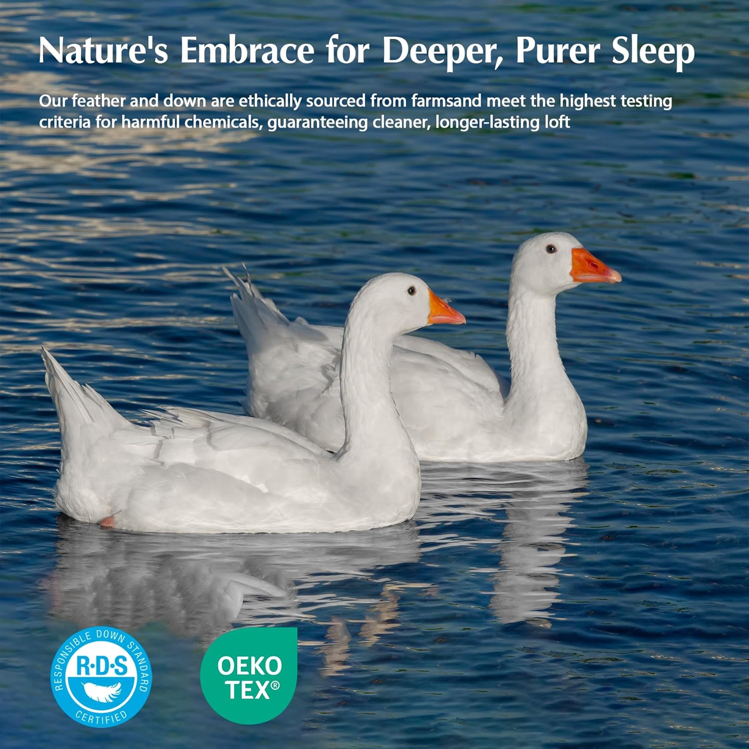 Detalle 2 de Pacific Coast Goose Feather Down Comforter 106"x90"