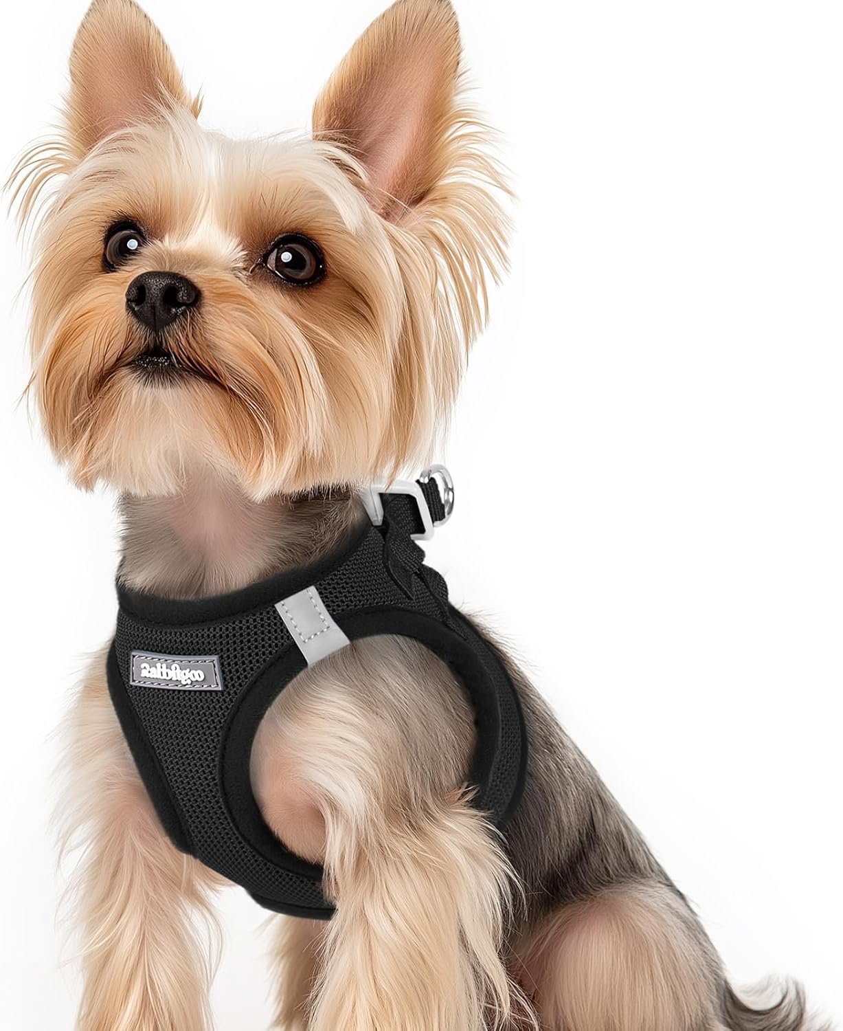 Detalle de rabbitgoo Hundegeschirr XS für kleine Hunde
