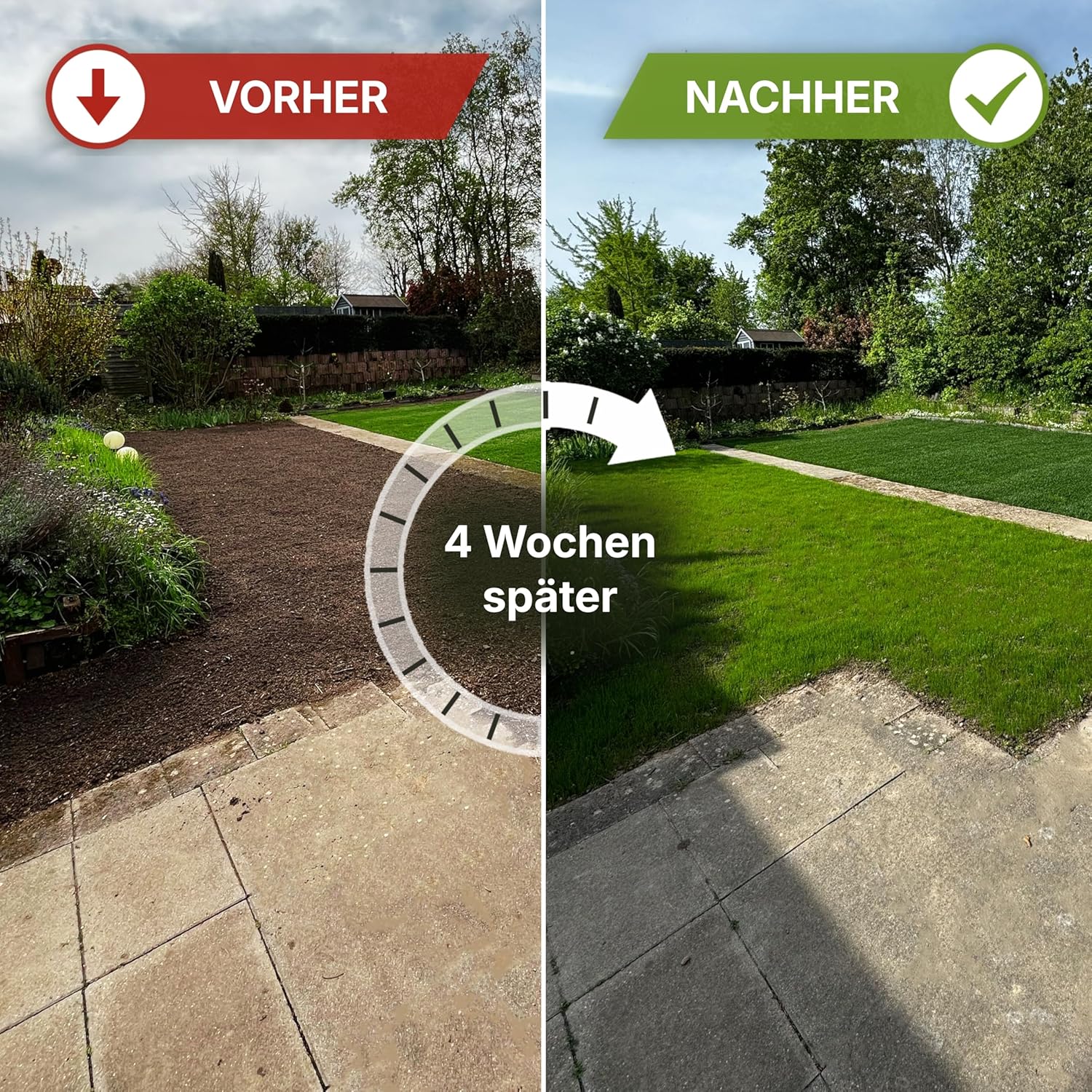 Detalle de Terrauno Rasensamen 10 kg für 200 m²