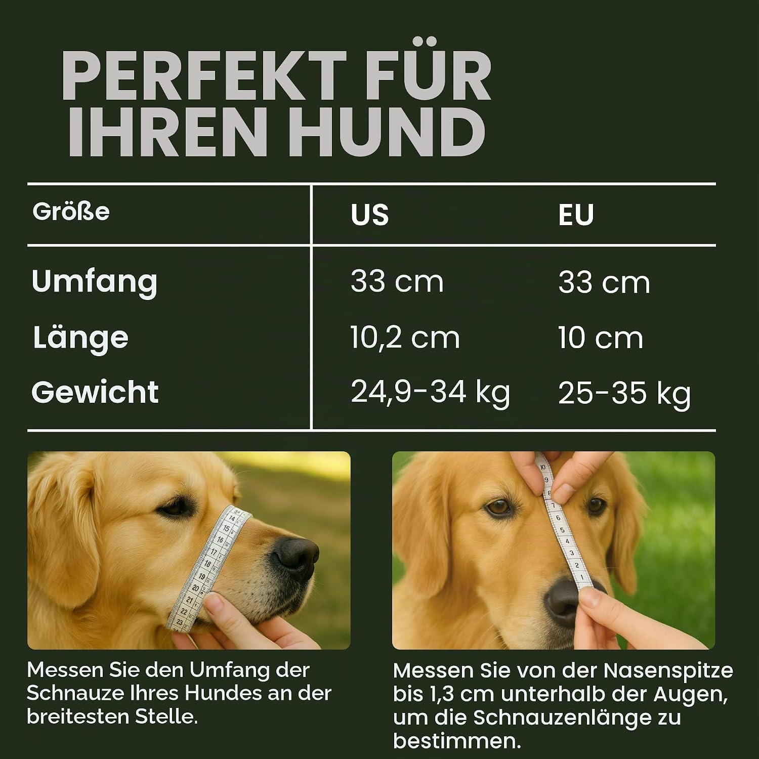 Detalle de BRONZEDOG Drahtkorb Maulkorb aus Leder und Edelstahl – Größe 5 (Belgian Malinois & Golden Retriever)