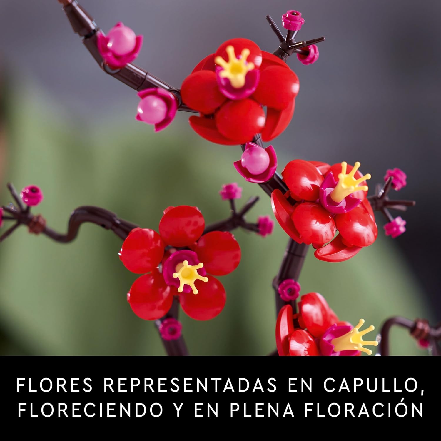 Thumbnail 3 de LEGO Flor de Ciruelo Botanicals 10369