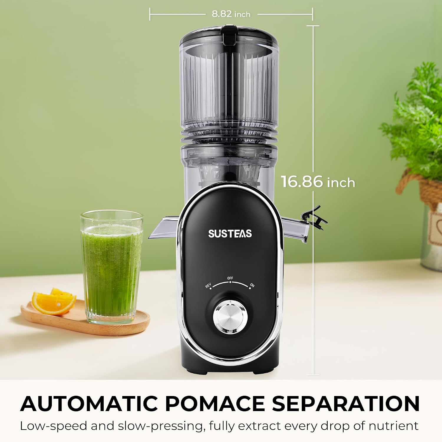 Thumbnail 6 de SUSTEAS Cold Press Juicer 300W, 1.5L capacity 🧃