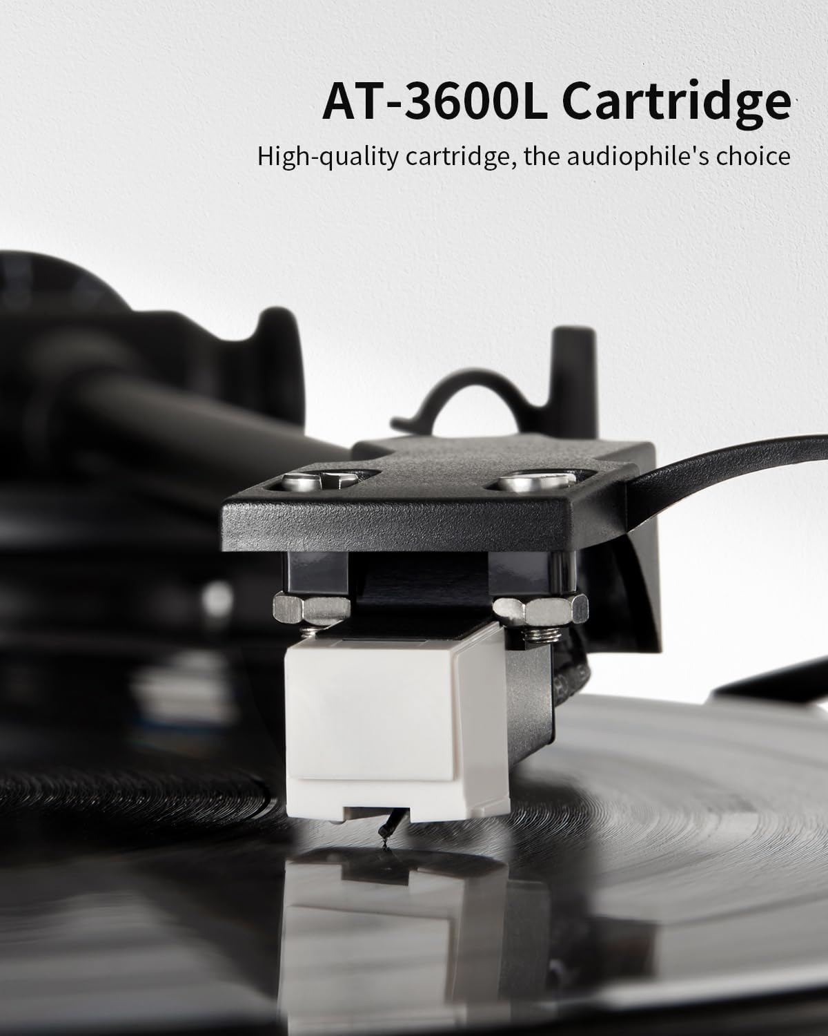 Detalle de Angels Horn Vinyl Record Player