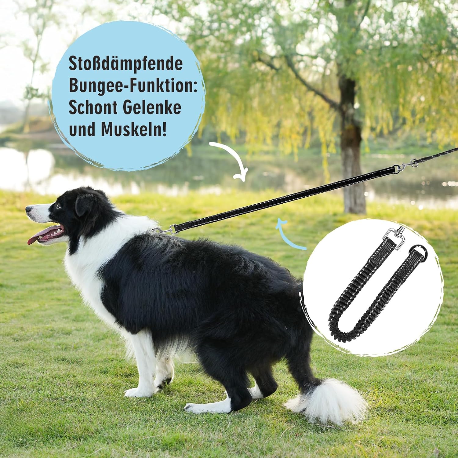 Thumbnail 1 de Aystkniet Schleppleine 30M für Hunde – elastische Bungee-Leine mit abnehmbarem Segment, gepolsterter Griff und reflektierenden Nähten