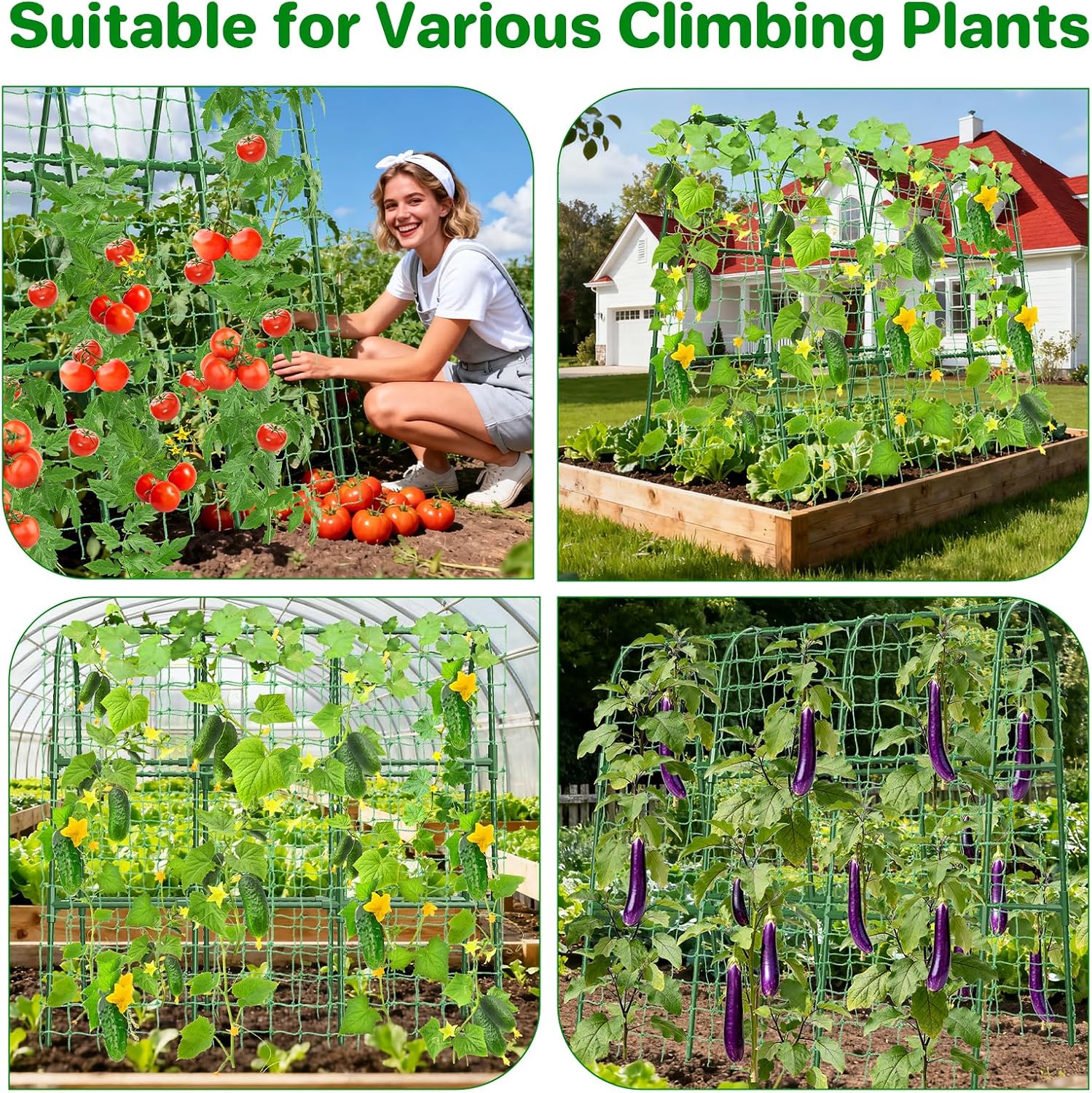 Detalle 2 de MYMULIKE Cucumber Trellis 120 x 120