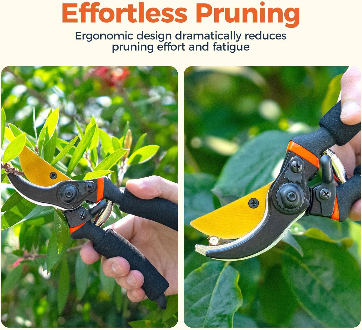 Detalle de Bamworld YLGJ-33 8-Inch Pruning Shears with Stainless Steel Blades