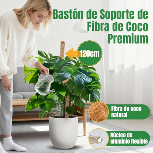 Thumbnail 1 de McBazel Tutor Monstera 120 cm con Alma de Aluminio y 4 cm de diámetro