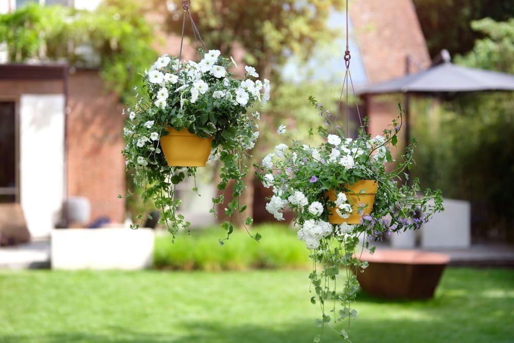 Detalle de Elho Vibia Campana Hanging Basket 26 cm – Honey Yellow