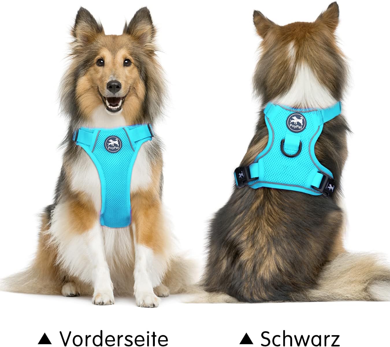 Detalle de PoyPet Reflektierendes, weiches Netz-Hundegeschirr in Blau, XL – atmungsaktiv, doppelt gepolstert, verstellbares Hals- und Brustdesign