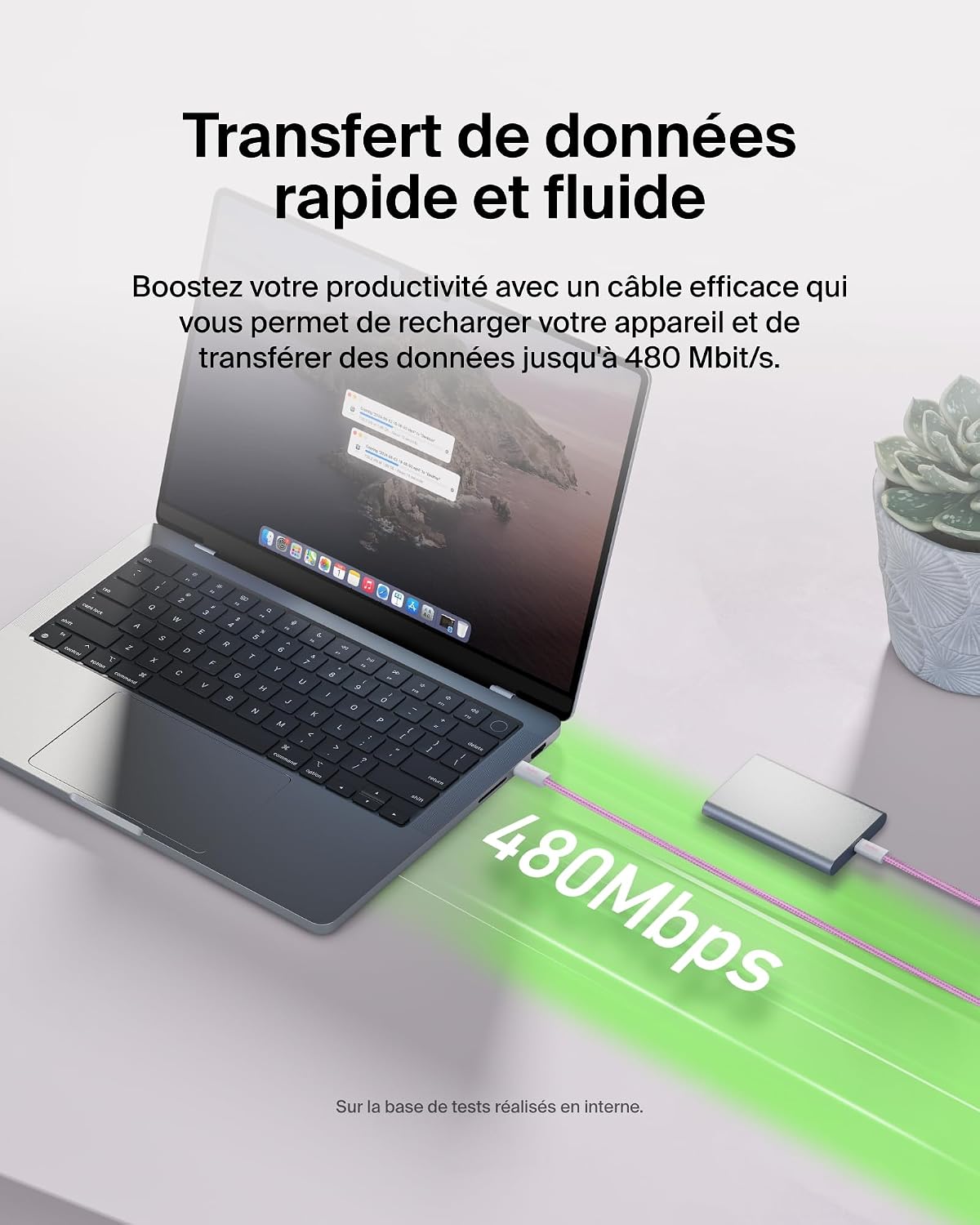 Detalle 2 de Belkin BBD008hq05PK2PK USB-C-kabels, 1,5 m, 60 W, gevlochten, roze, set van 2