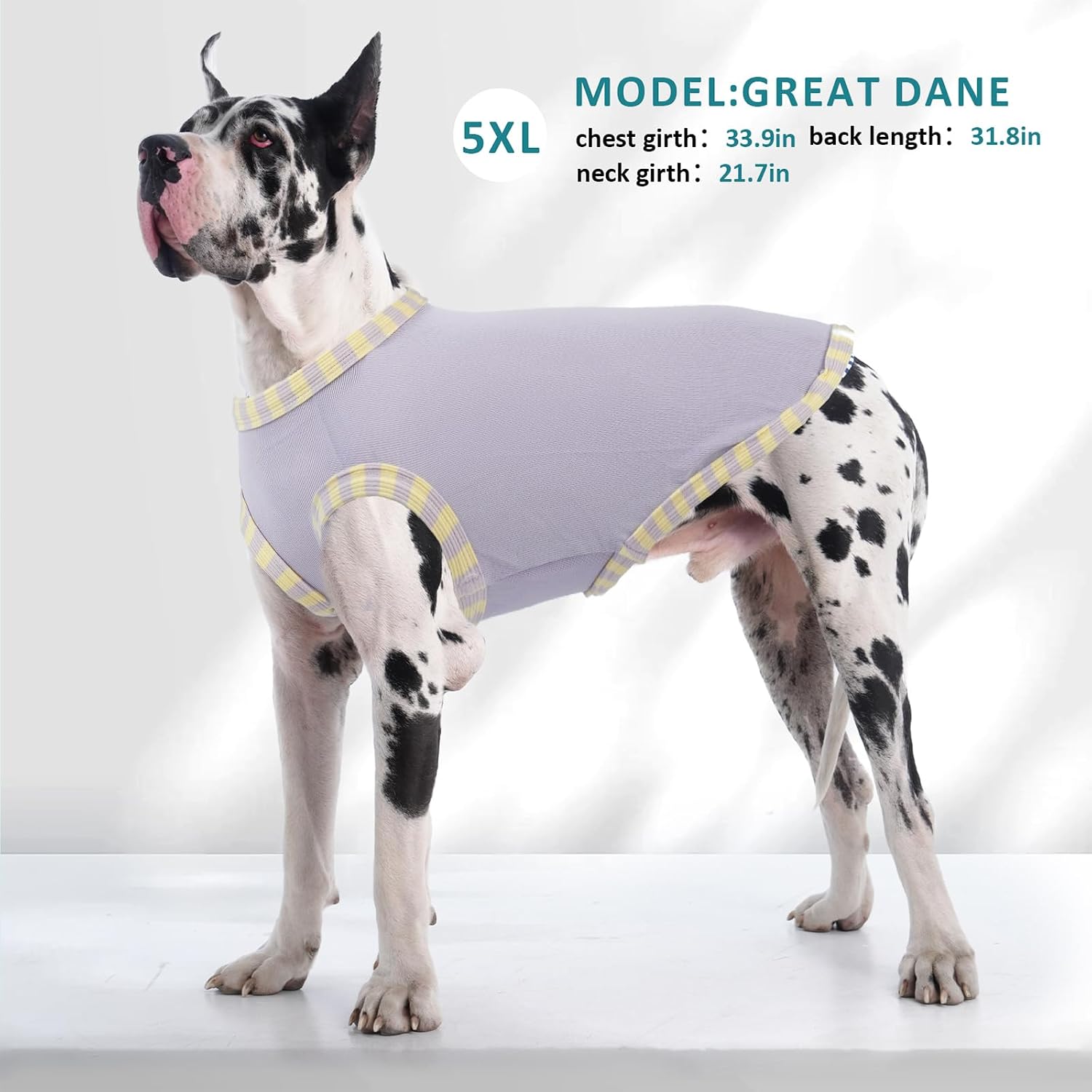 Detalle 1 de Katzinst Hunde Shirt 2er Pack 4XL