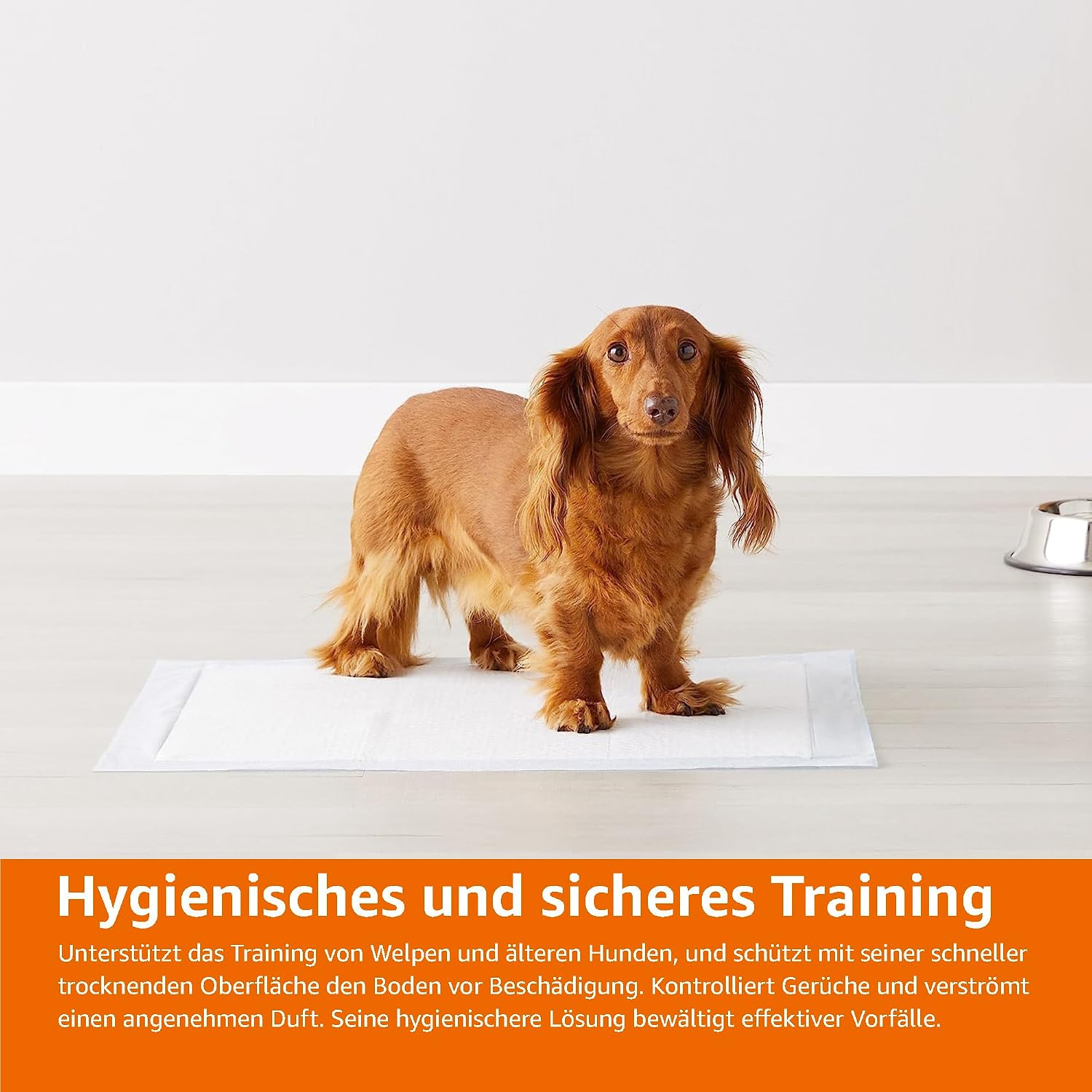 Detalle 2 de Amazon Basics Hunde-Pinkeltücher für das Töpfchentraining – 30 Stück, 5-Schicht, 56 x 56 cm, parfümiert, blau/weiß