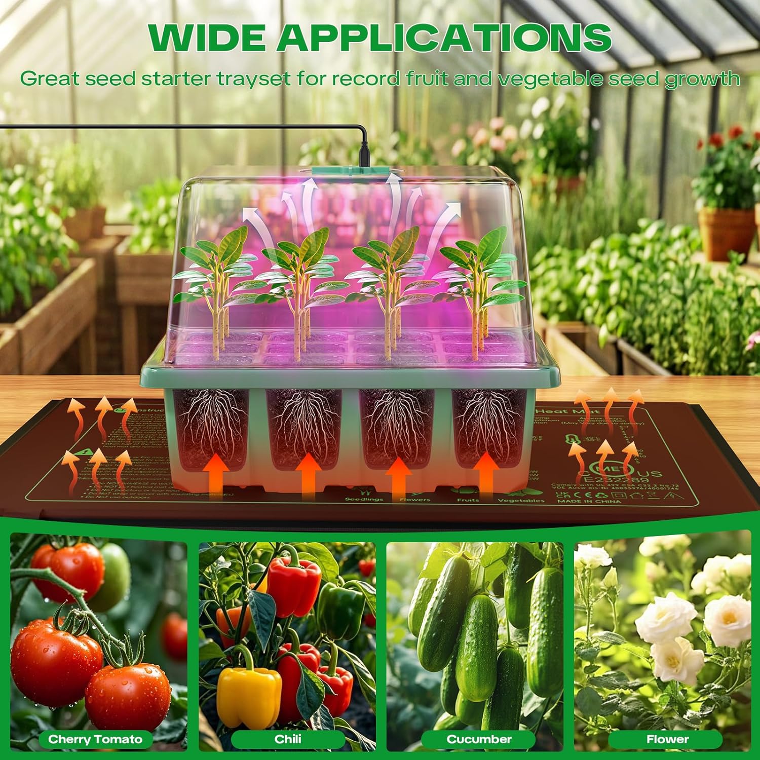 Thumbnail 4 de YAUNGEL Seed Trays with Grow Light